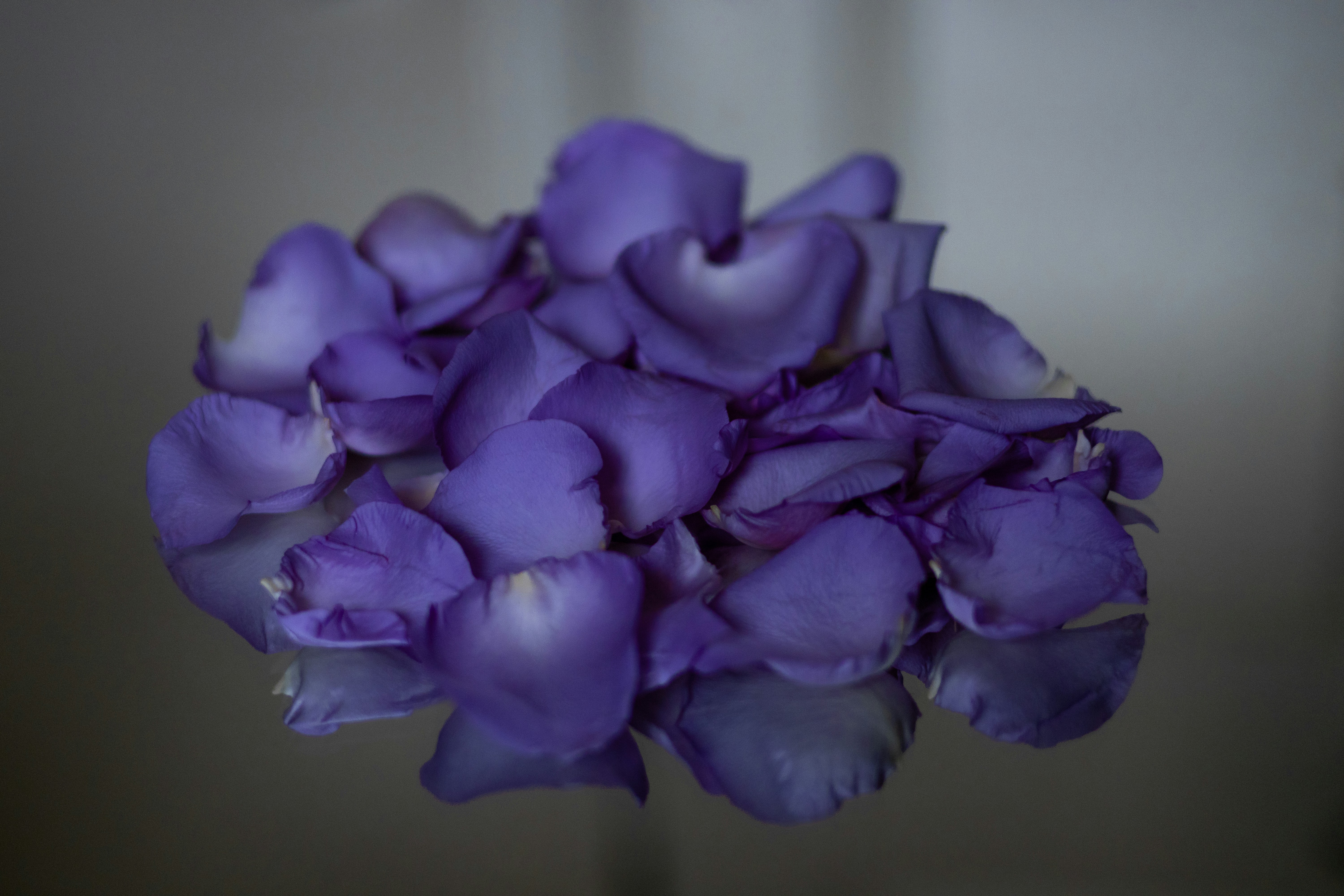 Photo by seraphimchaz