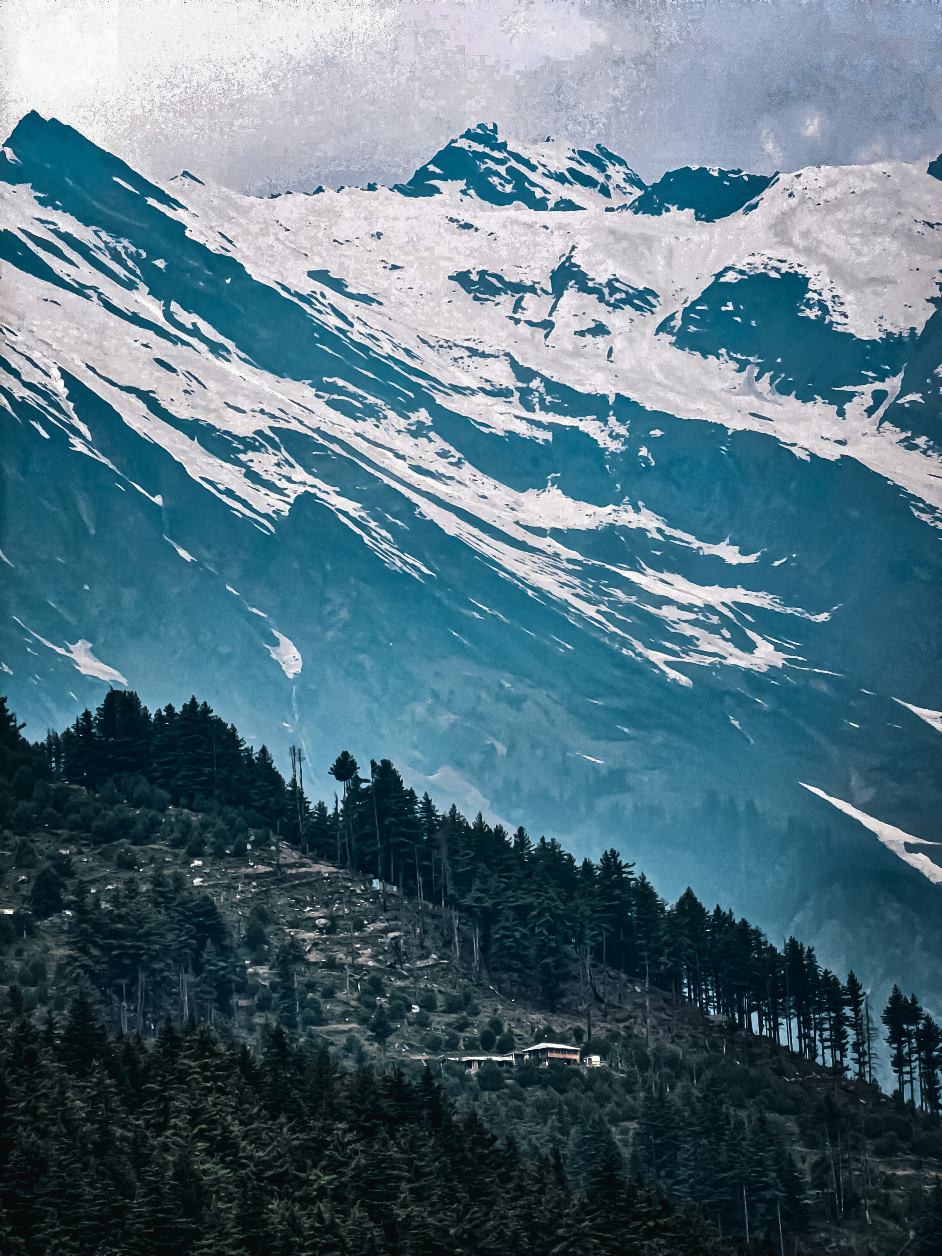 Photo by divam