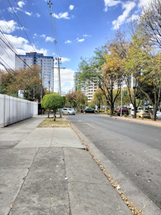 A city street with a white fence and trees