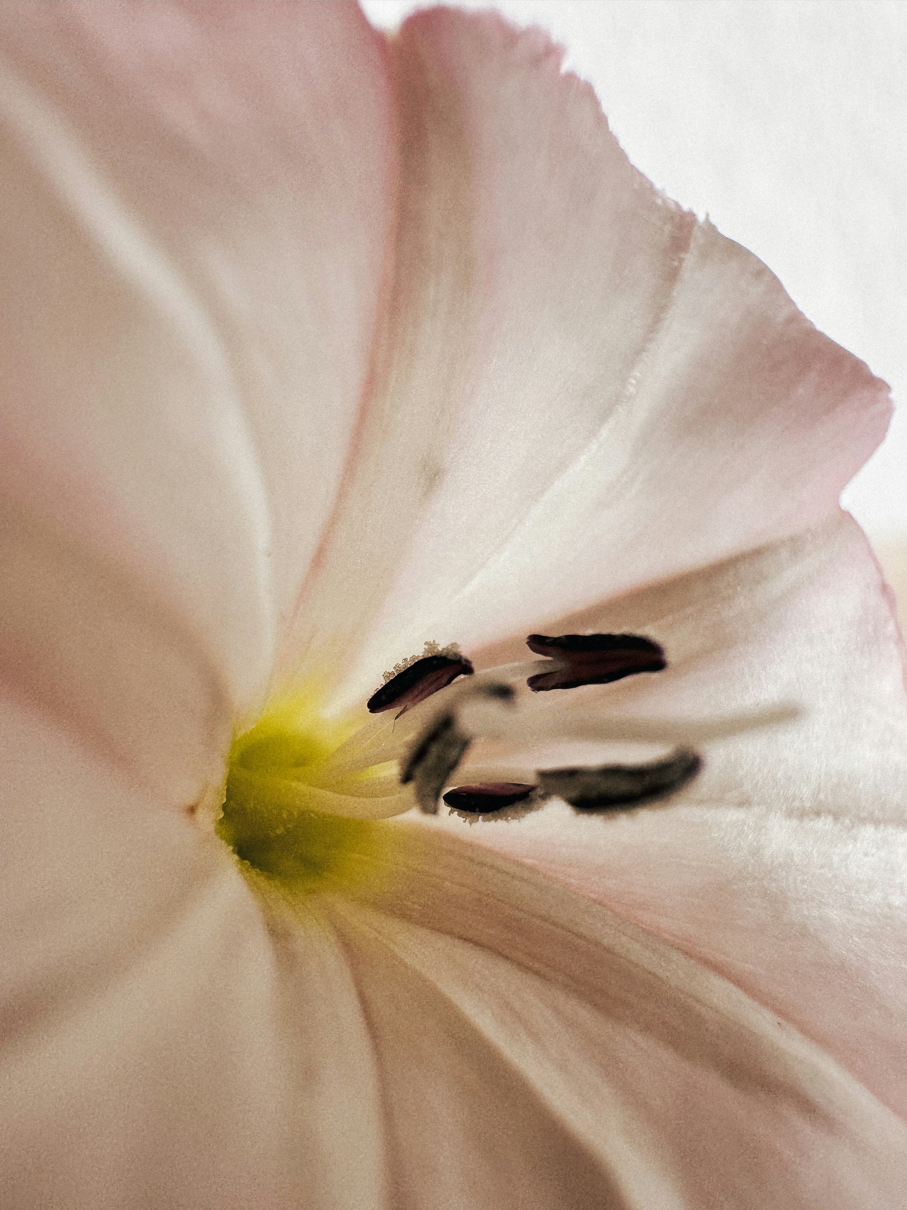 Photo by zvada_photo