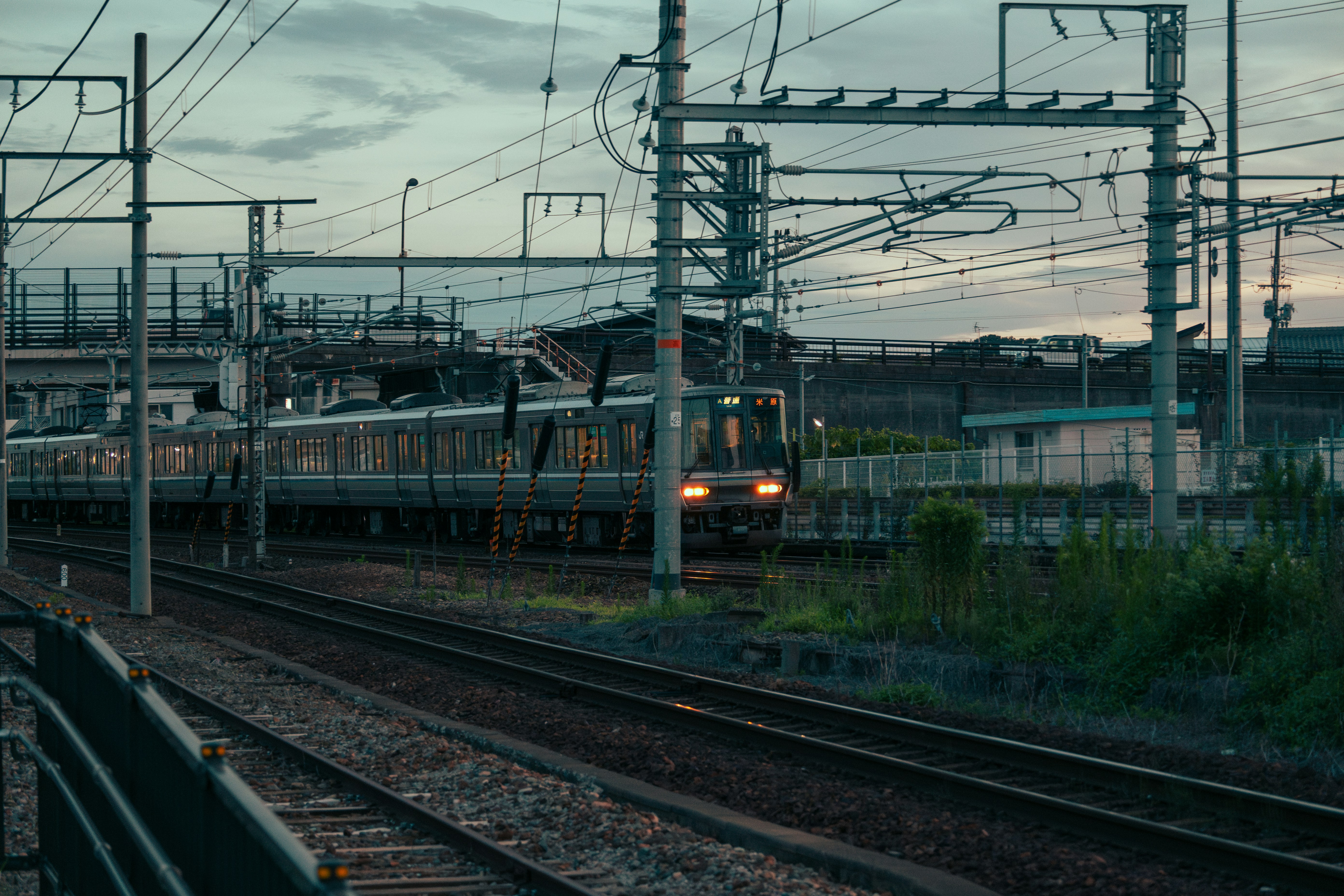 Photo by bannsui