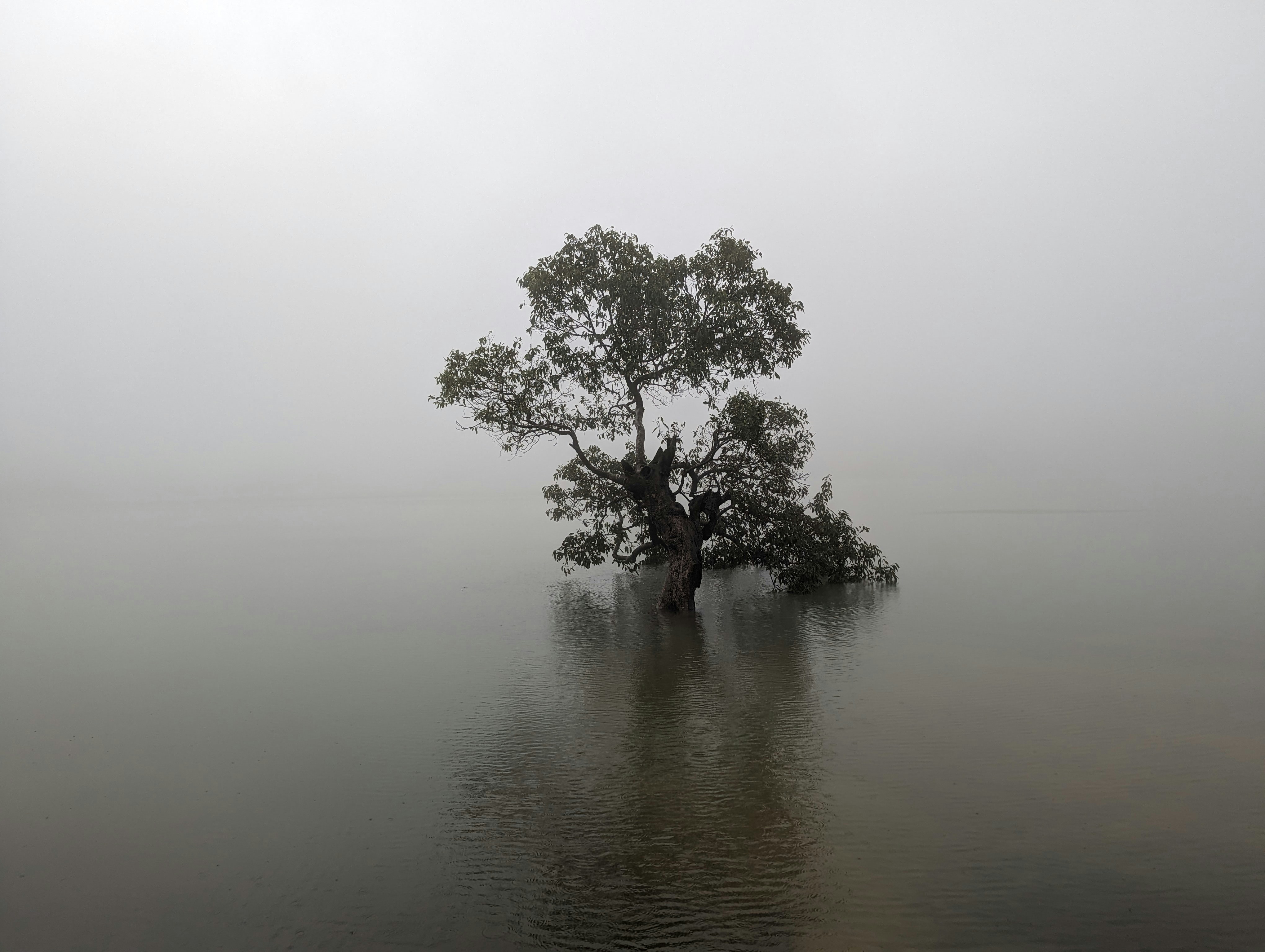 Photo by prathibhakm