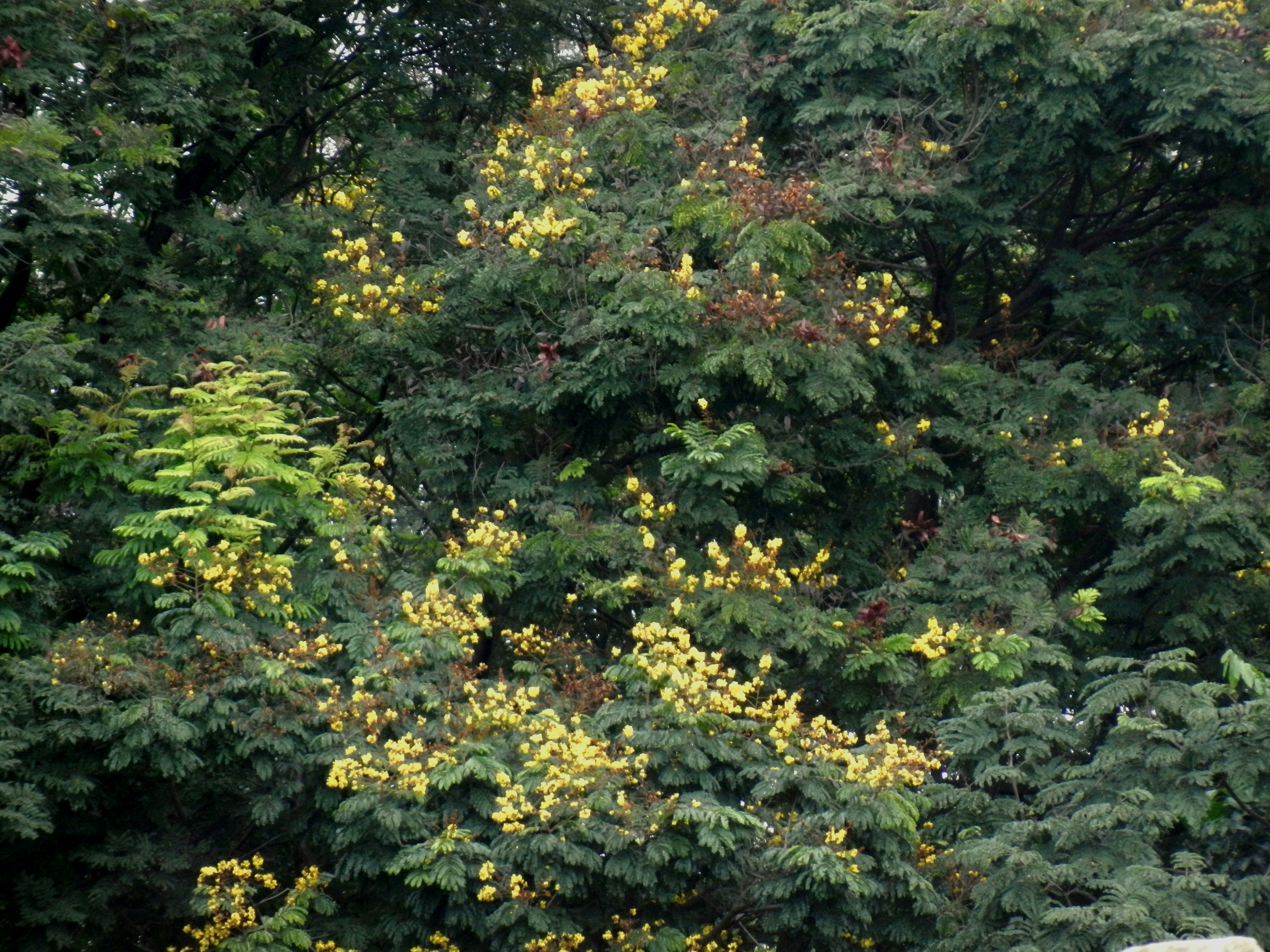 Photo by 5zantrigger