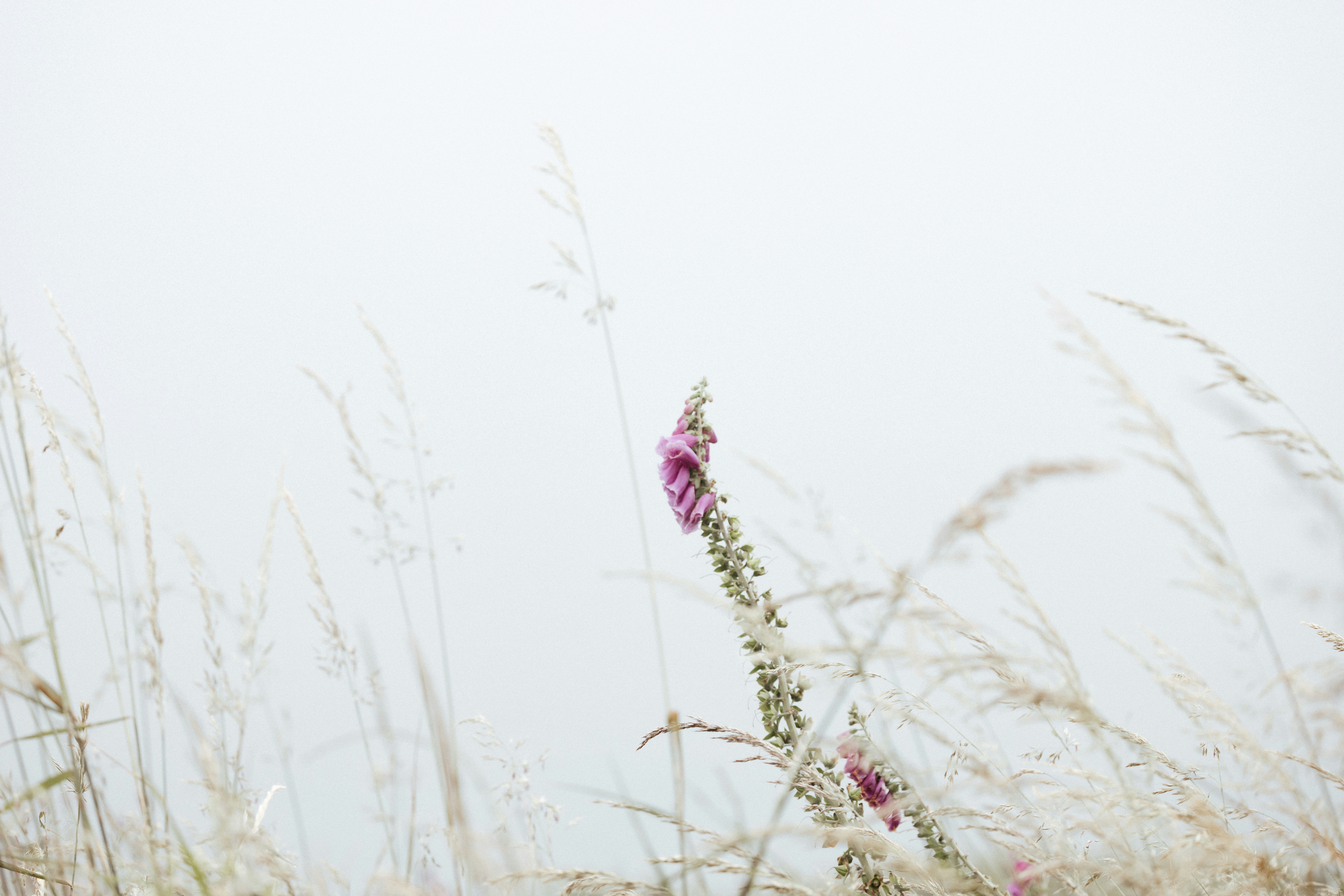 Photo by anniespratt