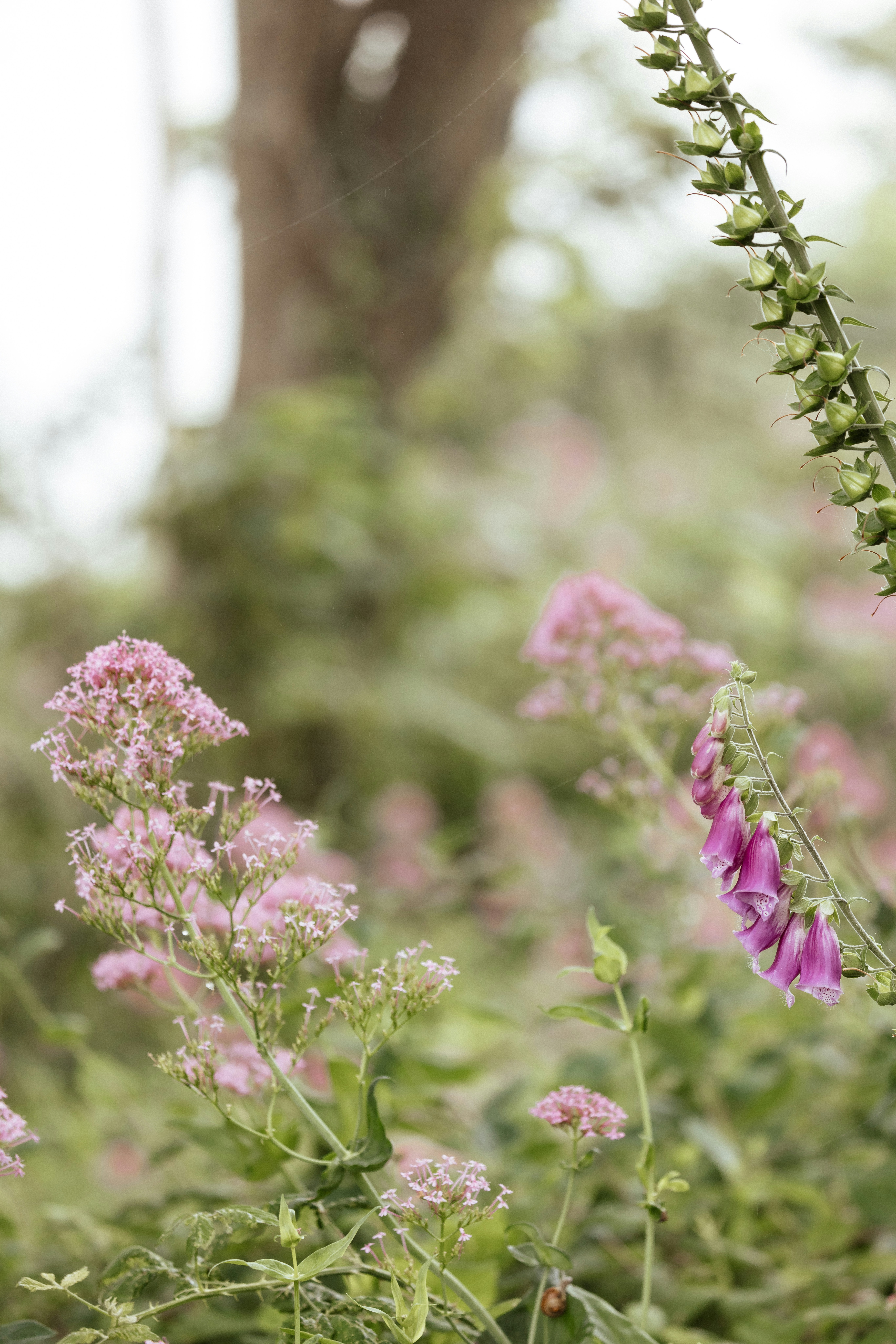 Photo by anniespratt