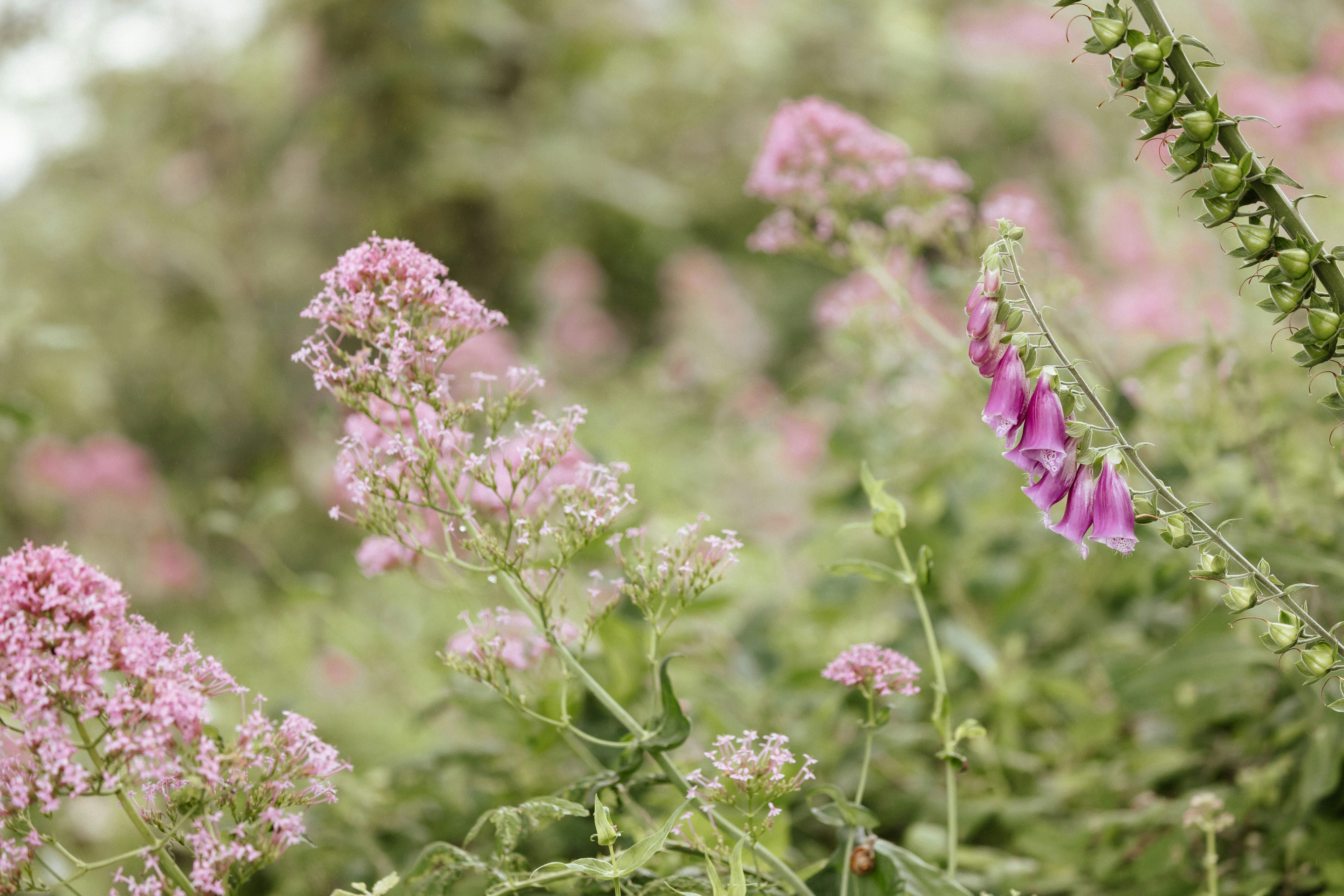 Photo by anniespratt