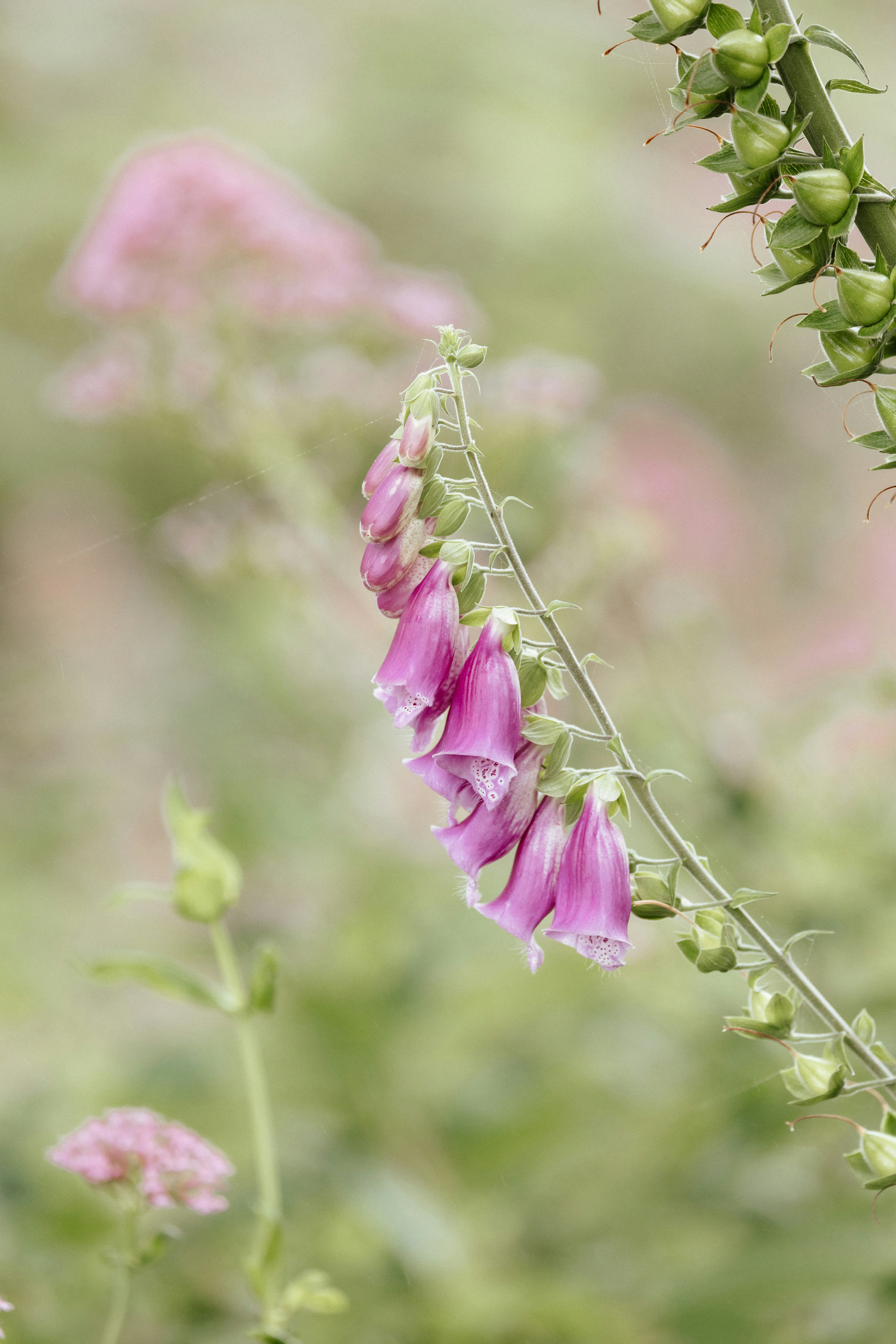 Photo by anniespratt