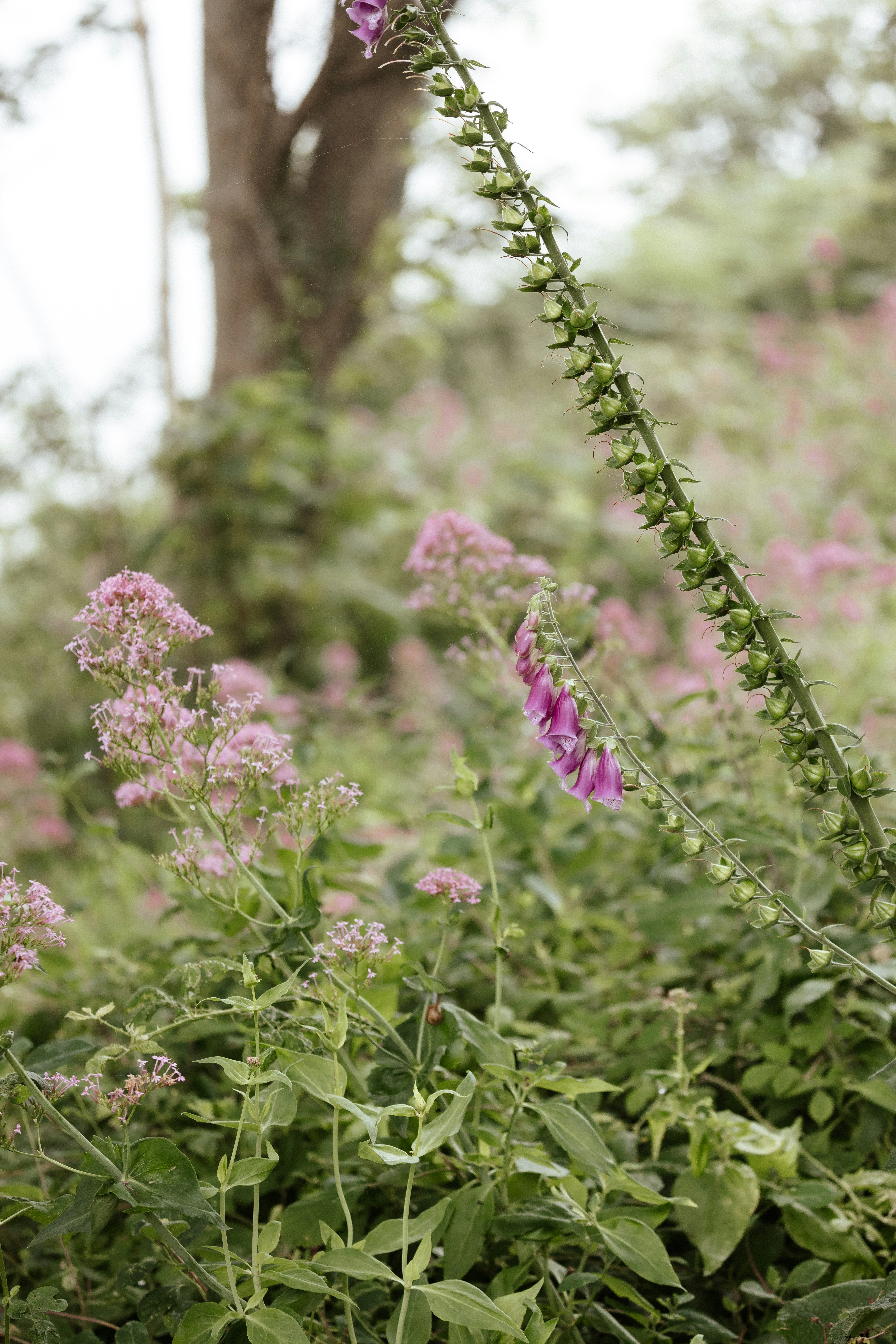 Photo by anniespratt