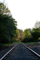A train track running through a wooded area