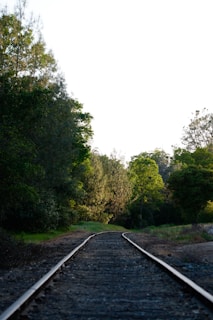 A train track running through a wooded area