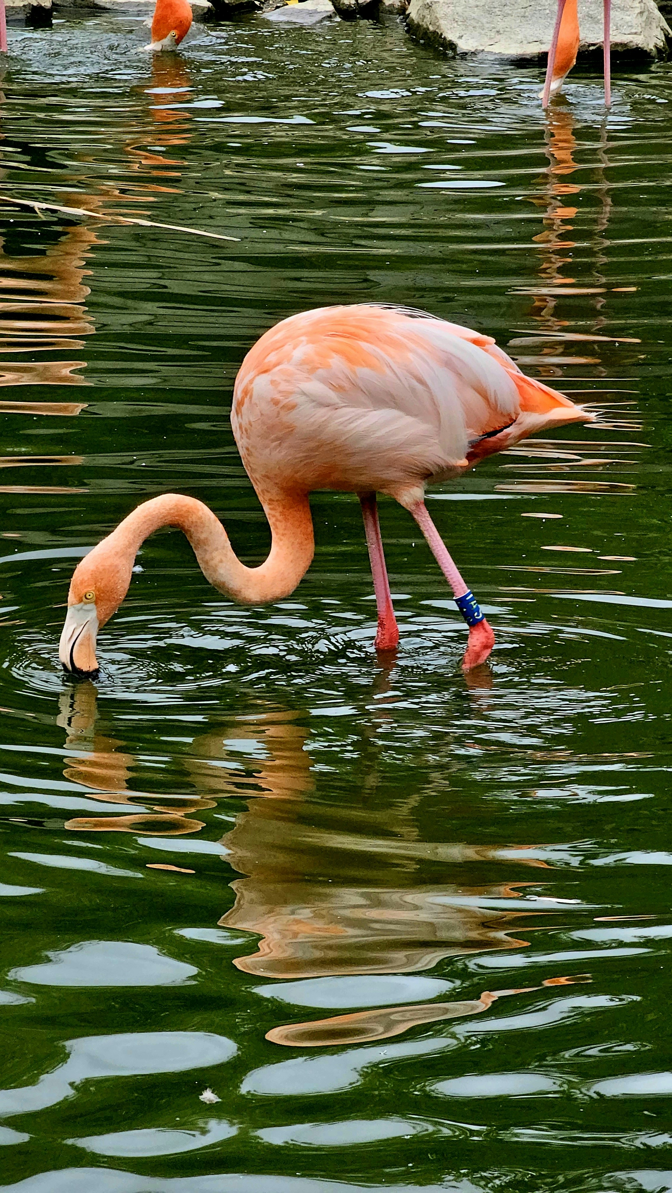 Photo by sharonlahart