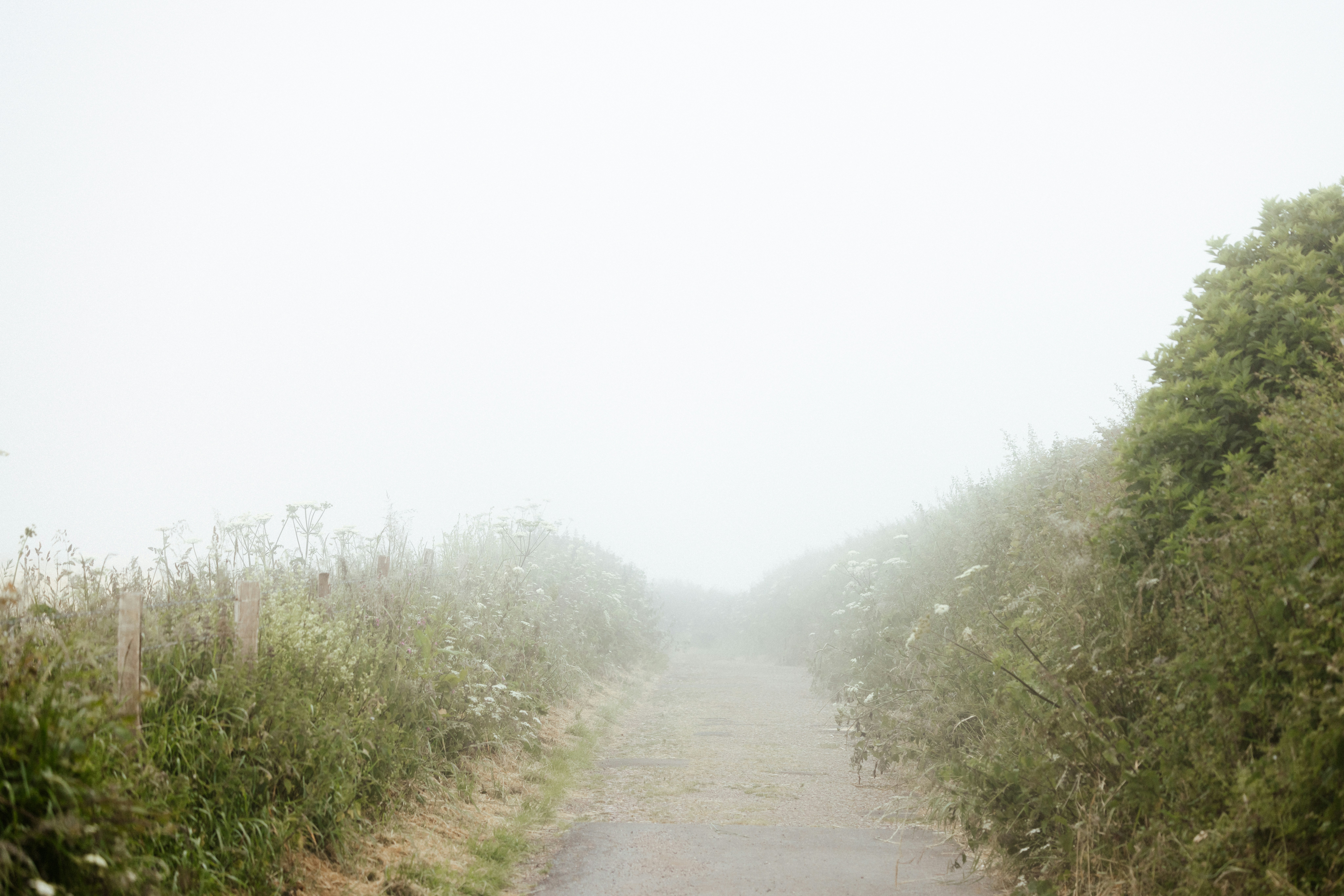 Photo by anniespratt
