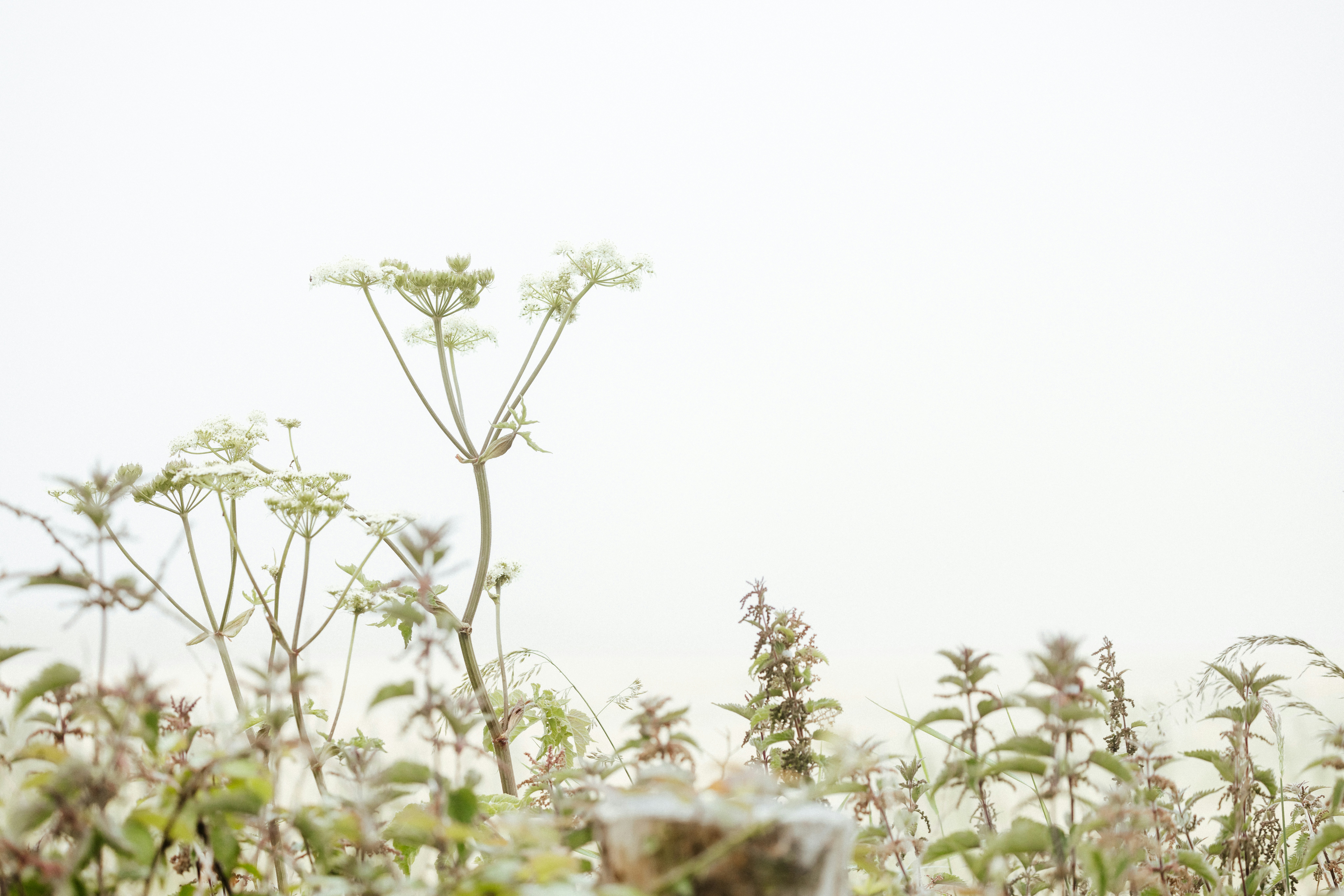 Photo by anniespratt