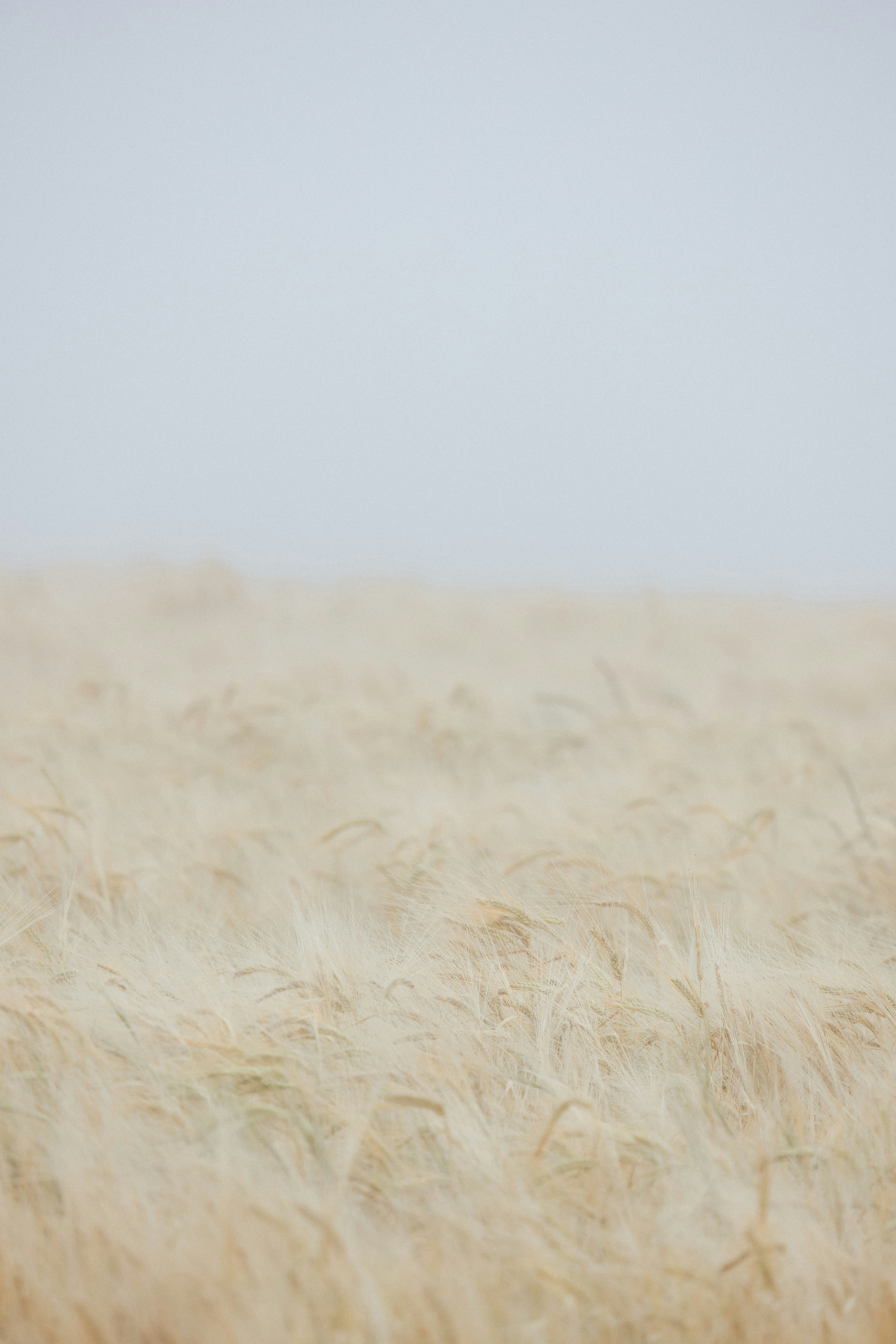 Photo by anniespratt