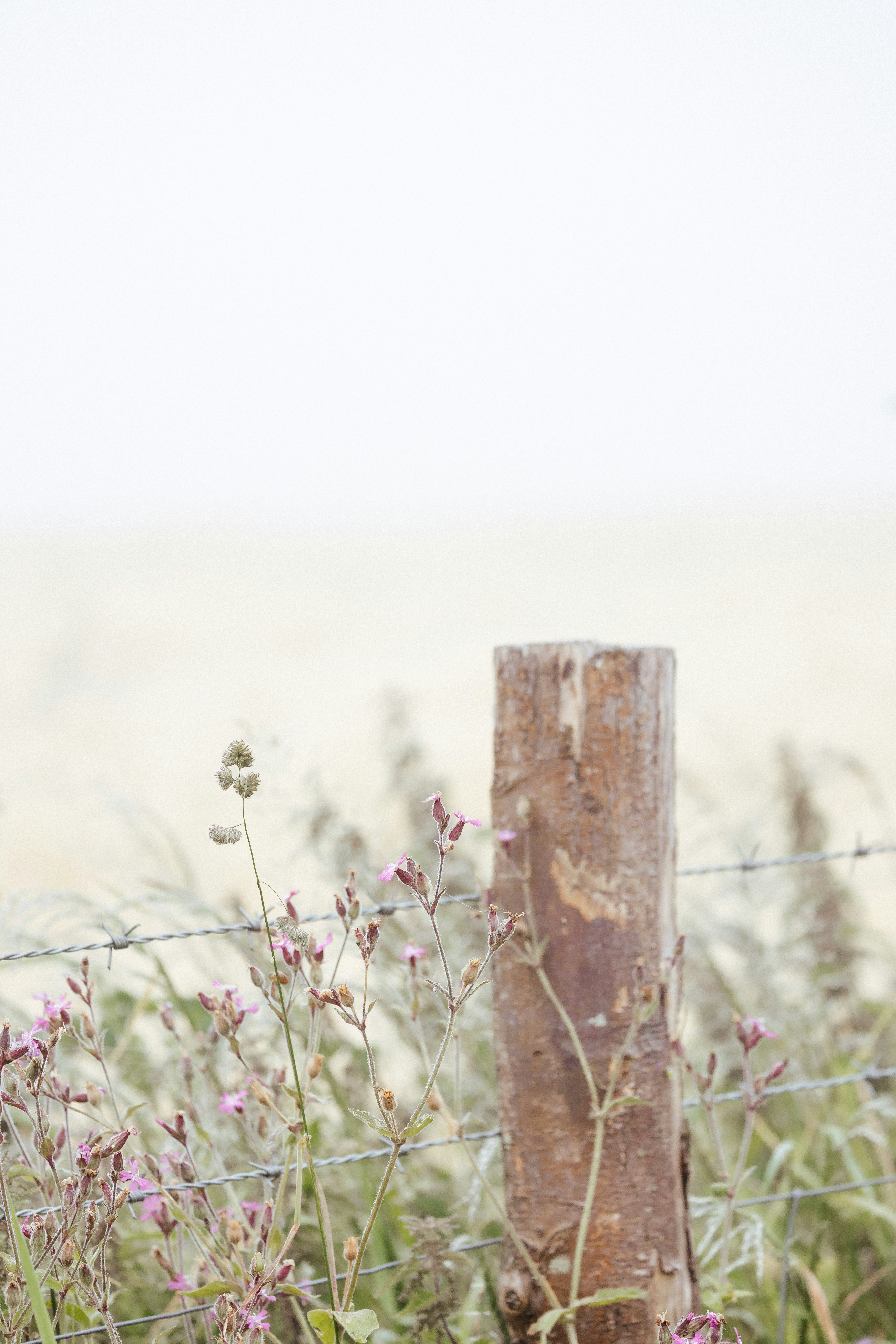 Photo by anniespratt