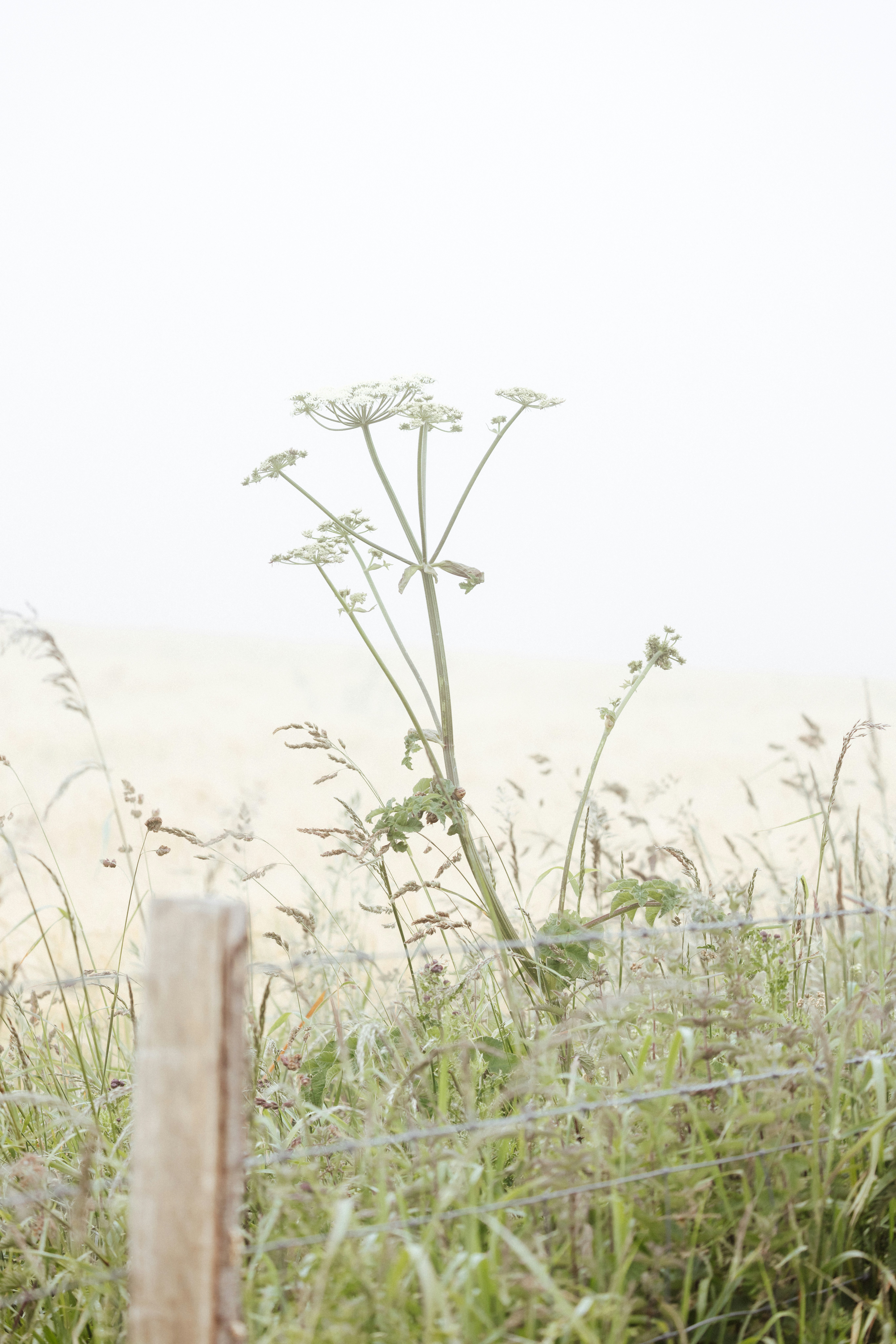 Where to Rent a Bike on Hiiumaa