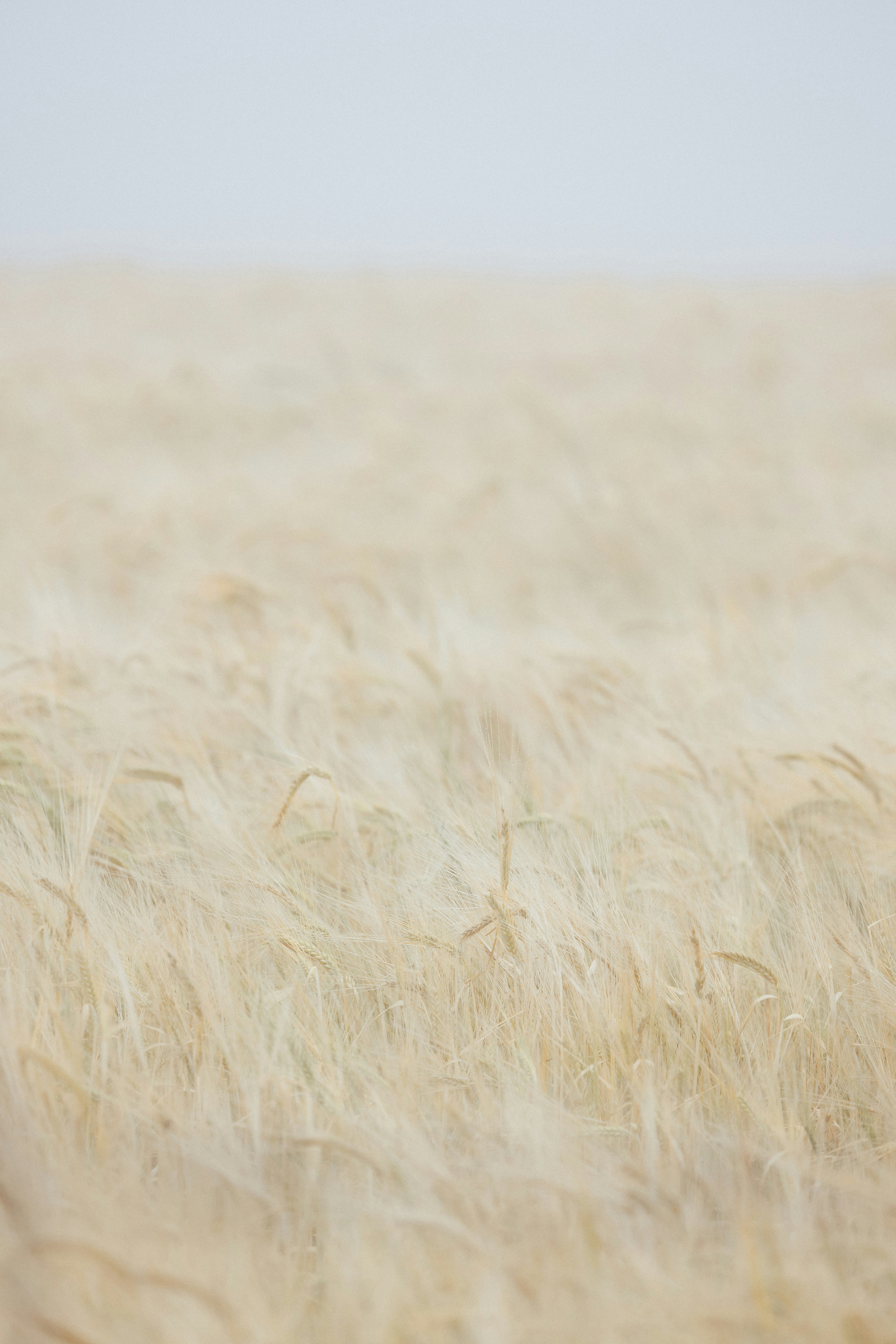 Photo by anniespratt