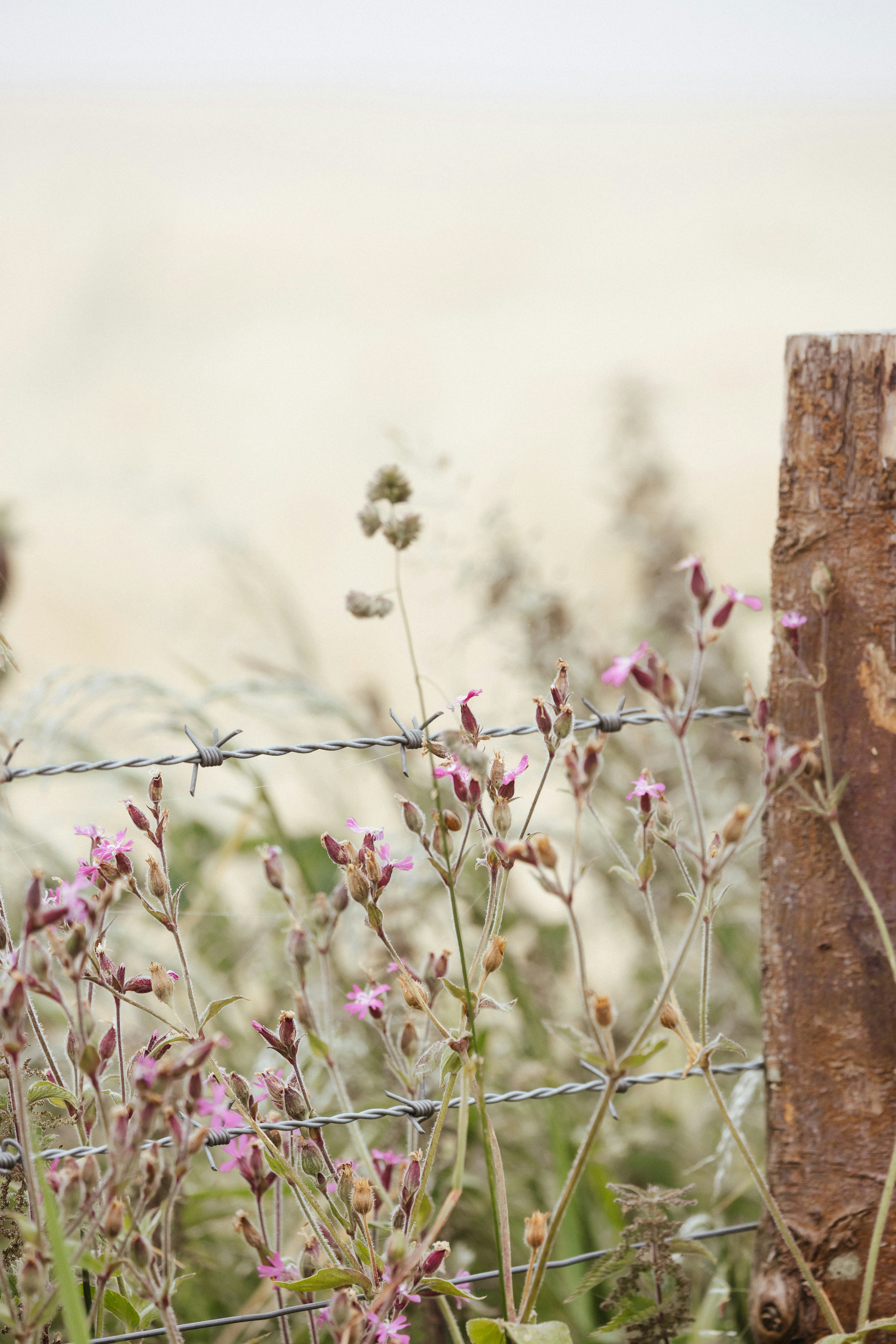 Photo by anniespratt