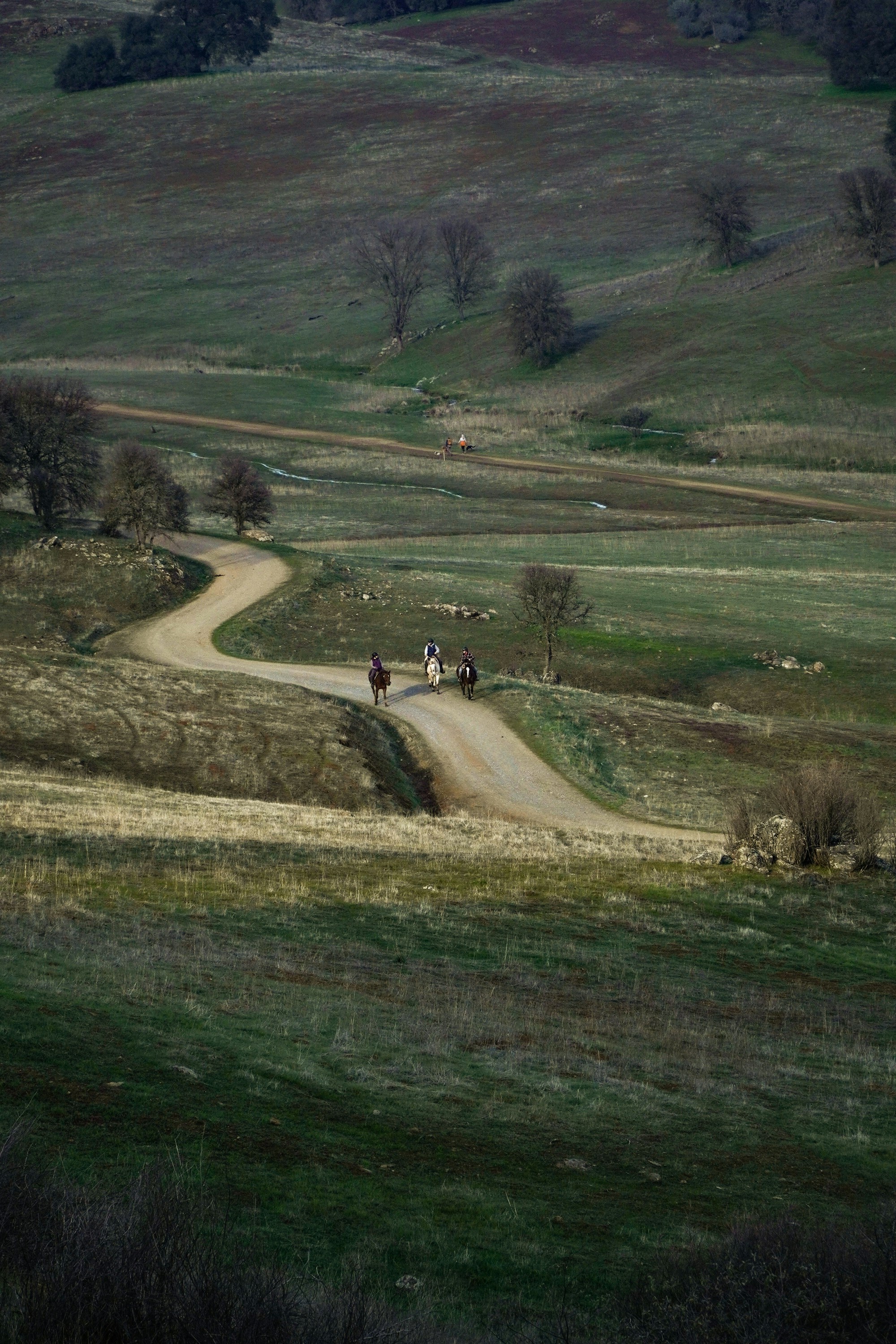 Una strada sterrata in mezzo a un campo erboso