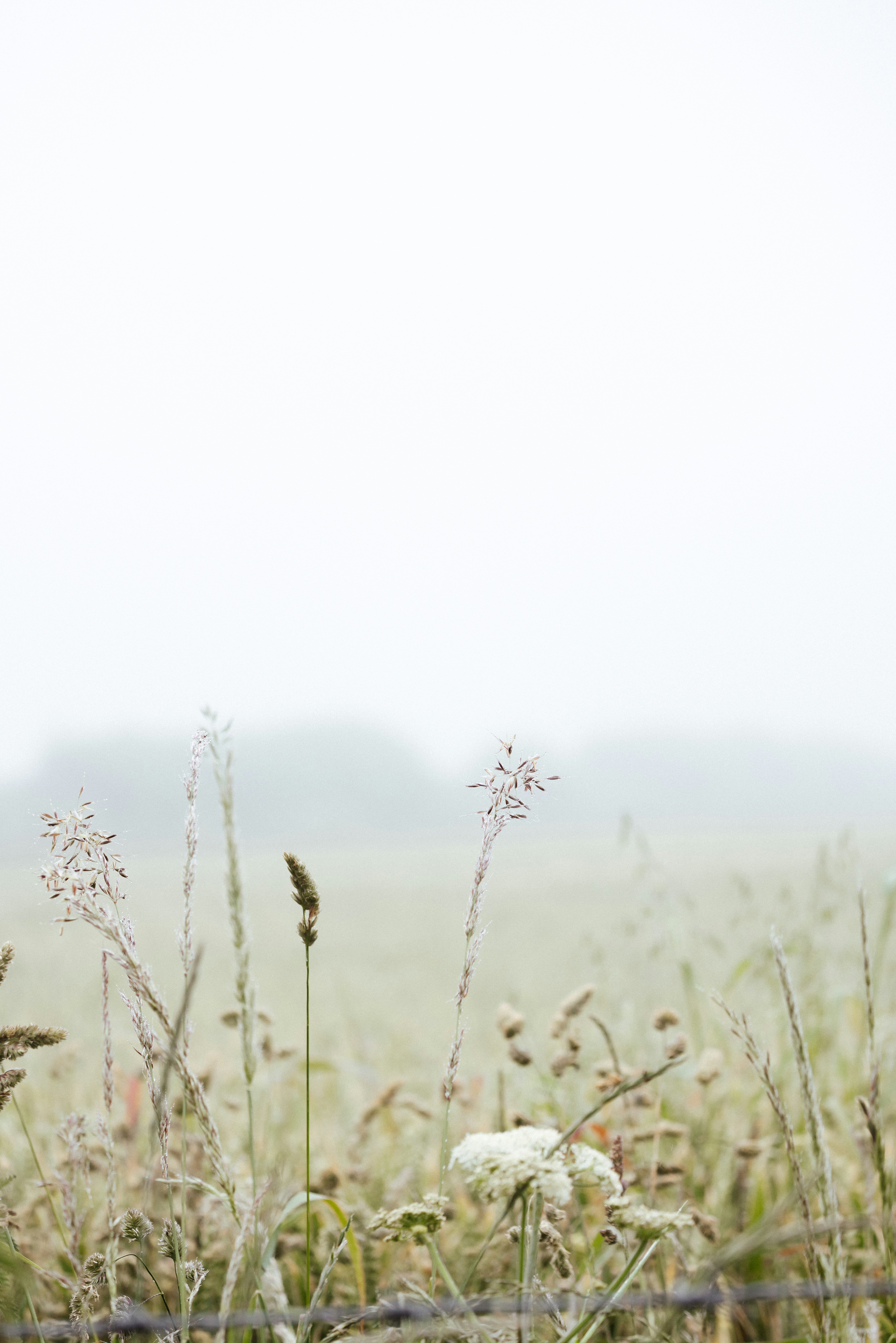 Photo by anniespratt