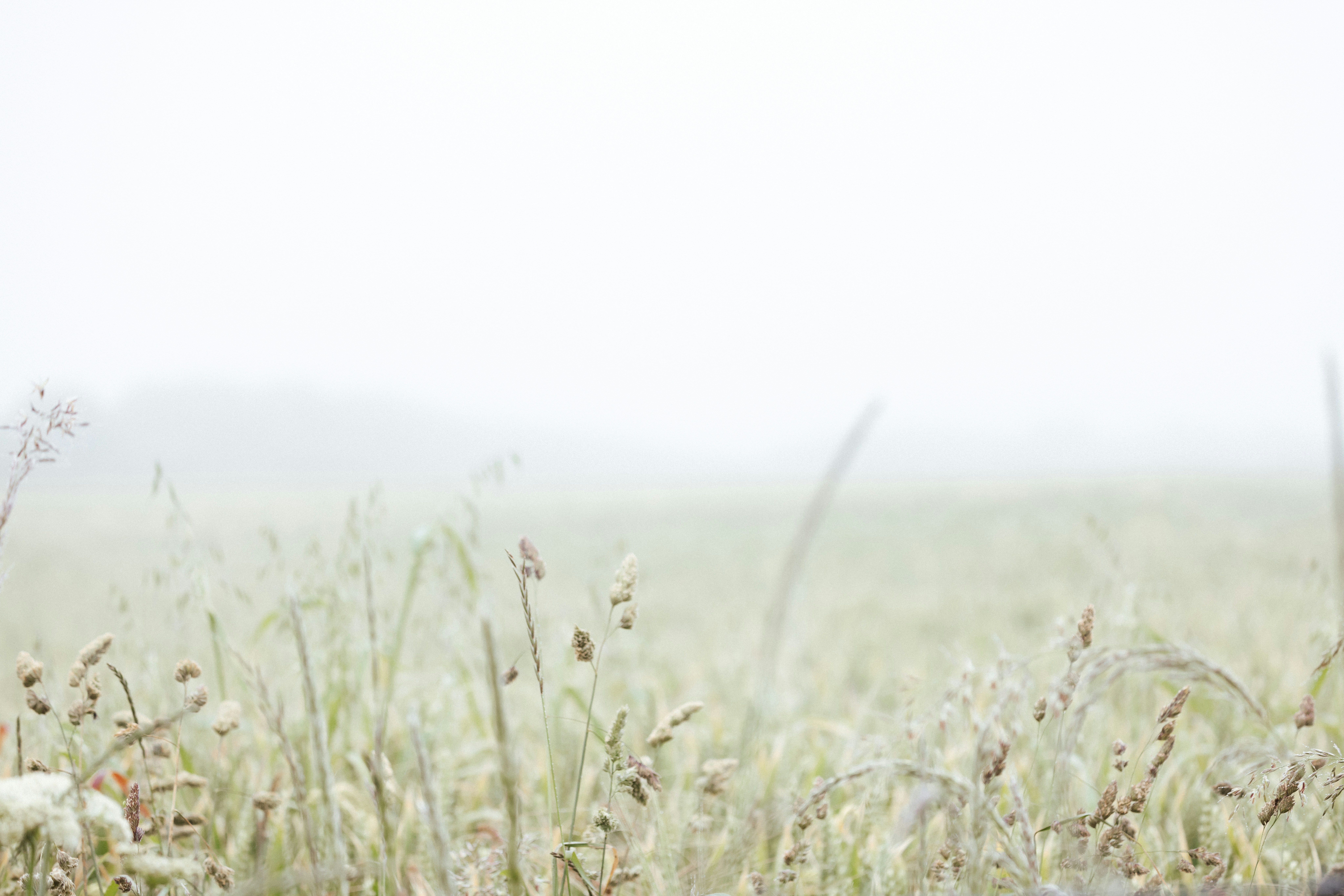 Photo by anniespratt