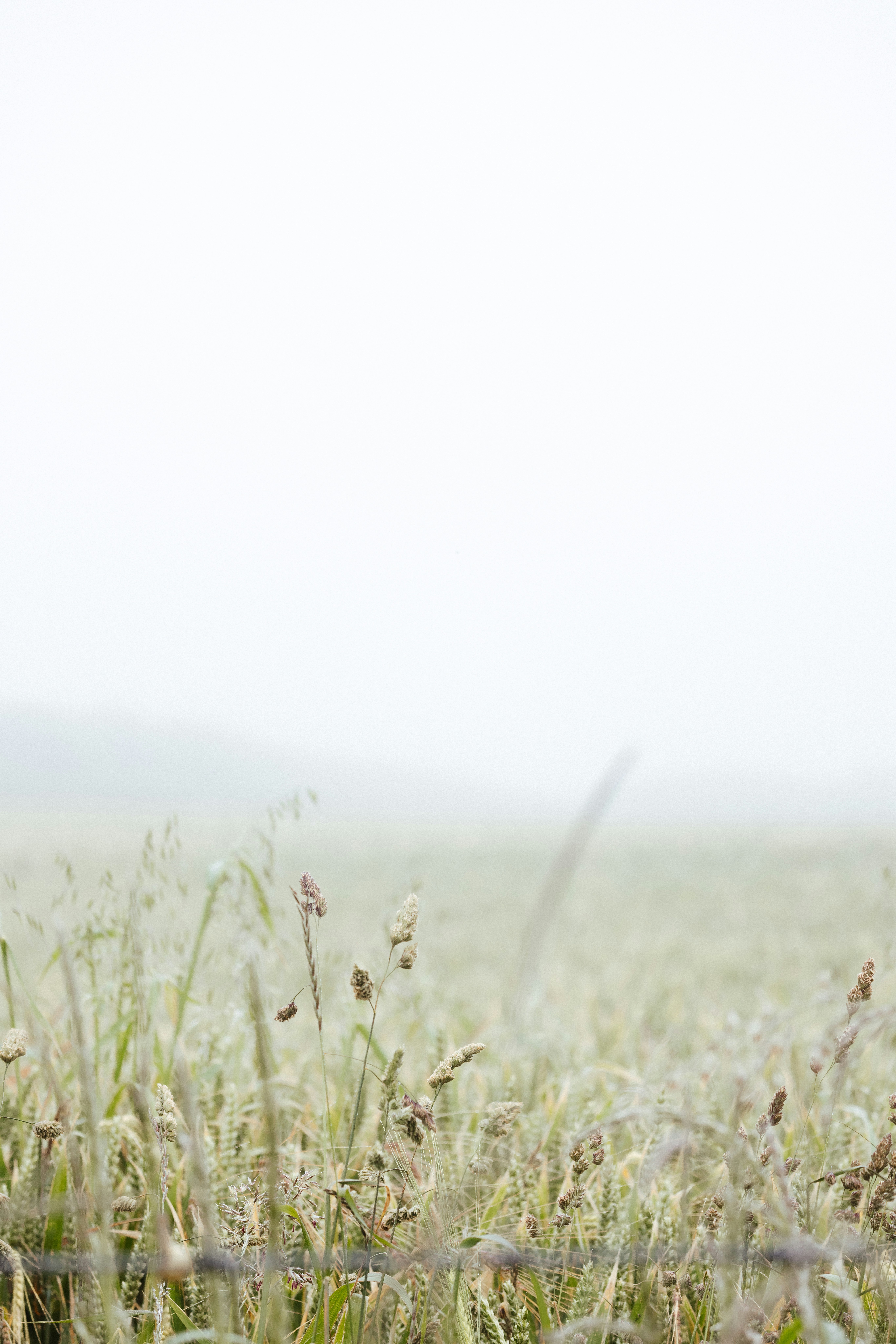 Photo by anniespratt