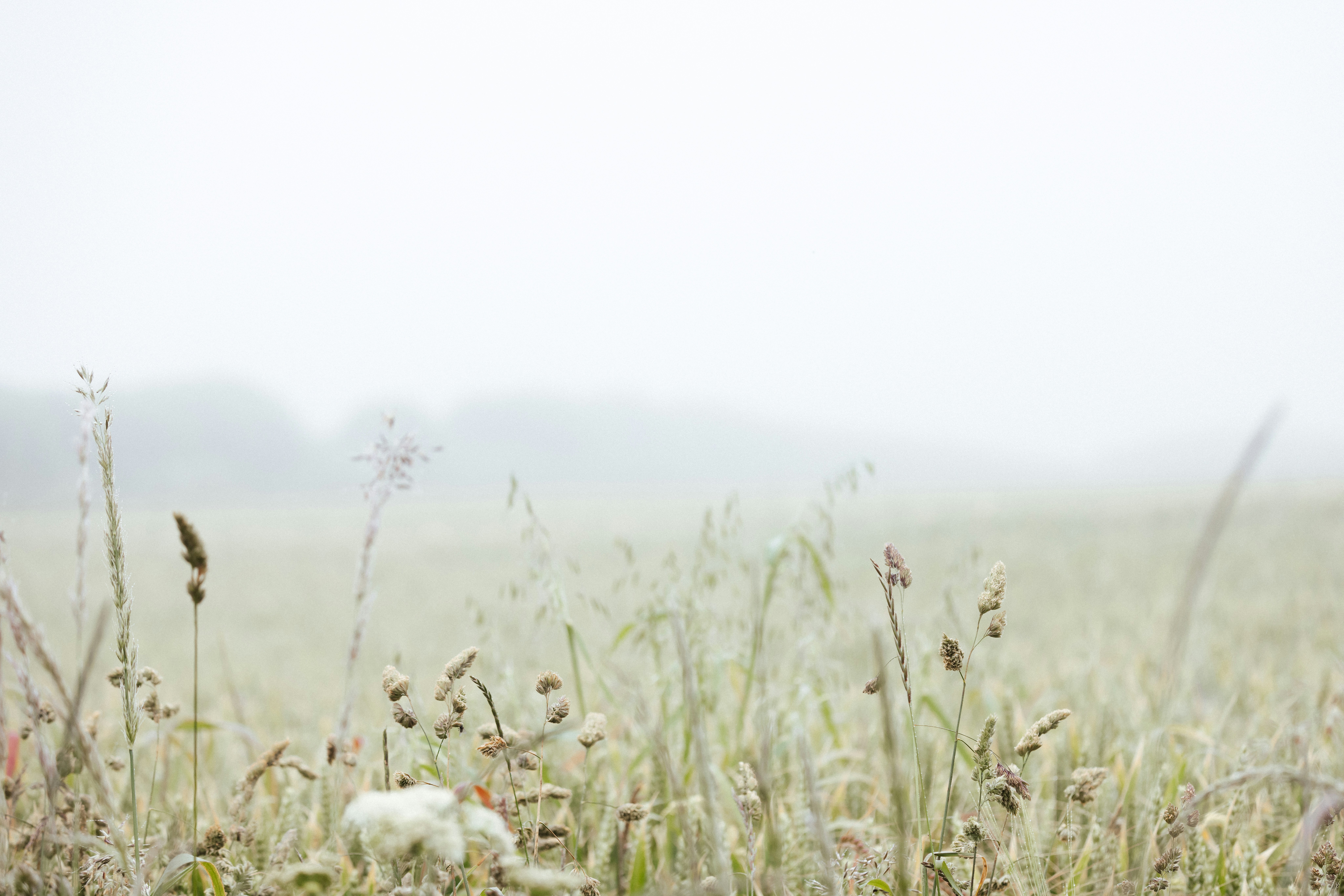 Photo by anniespratt