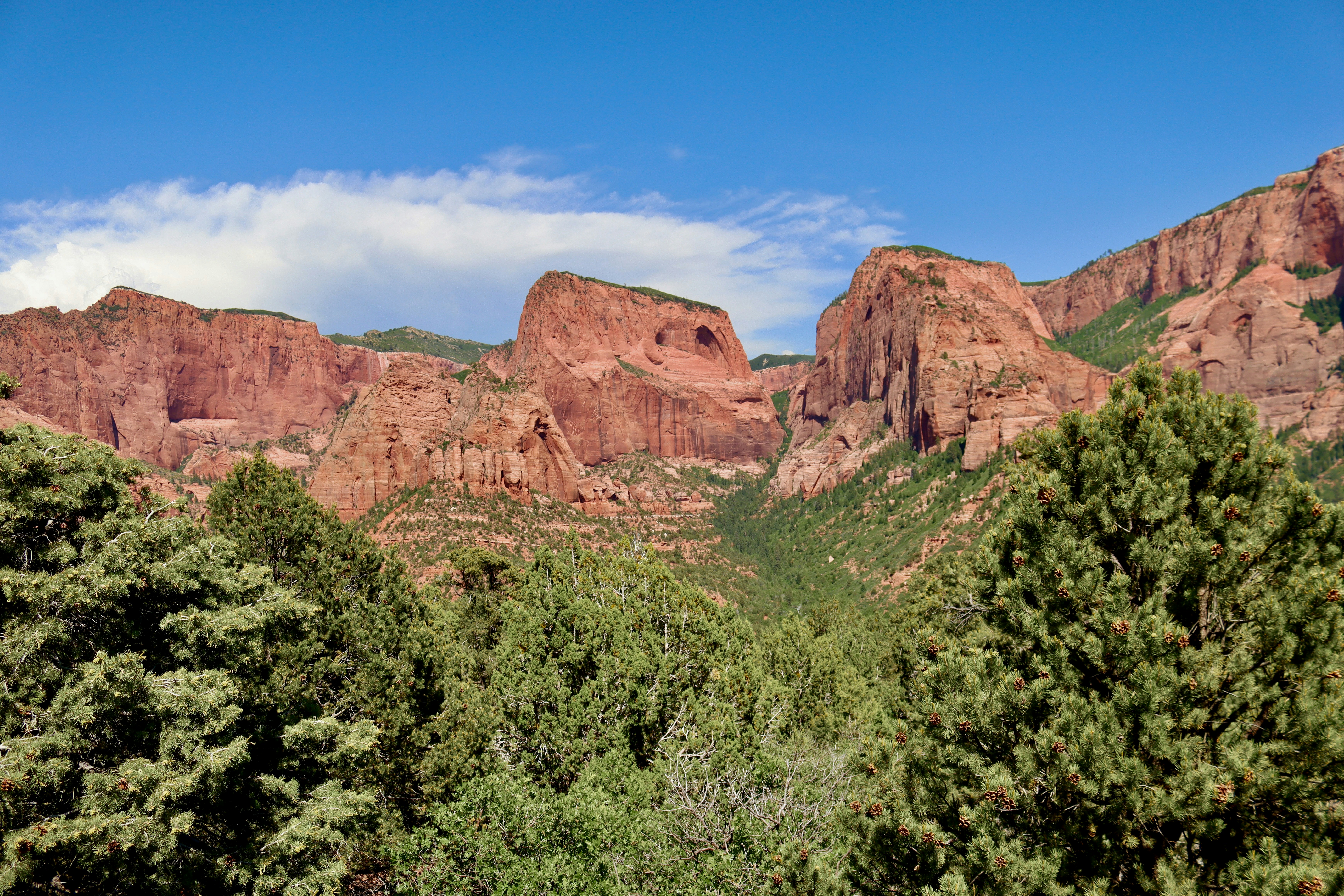 Designing for Trust: Device Compatibility Labs, Repairable Quantum Instruments, and Privacy in 2026