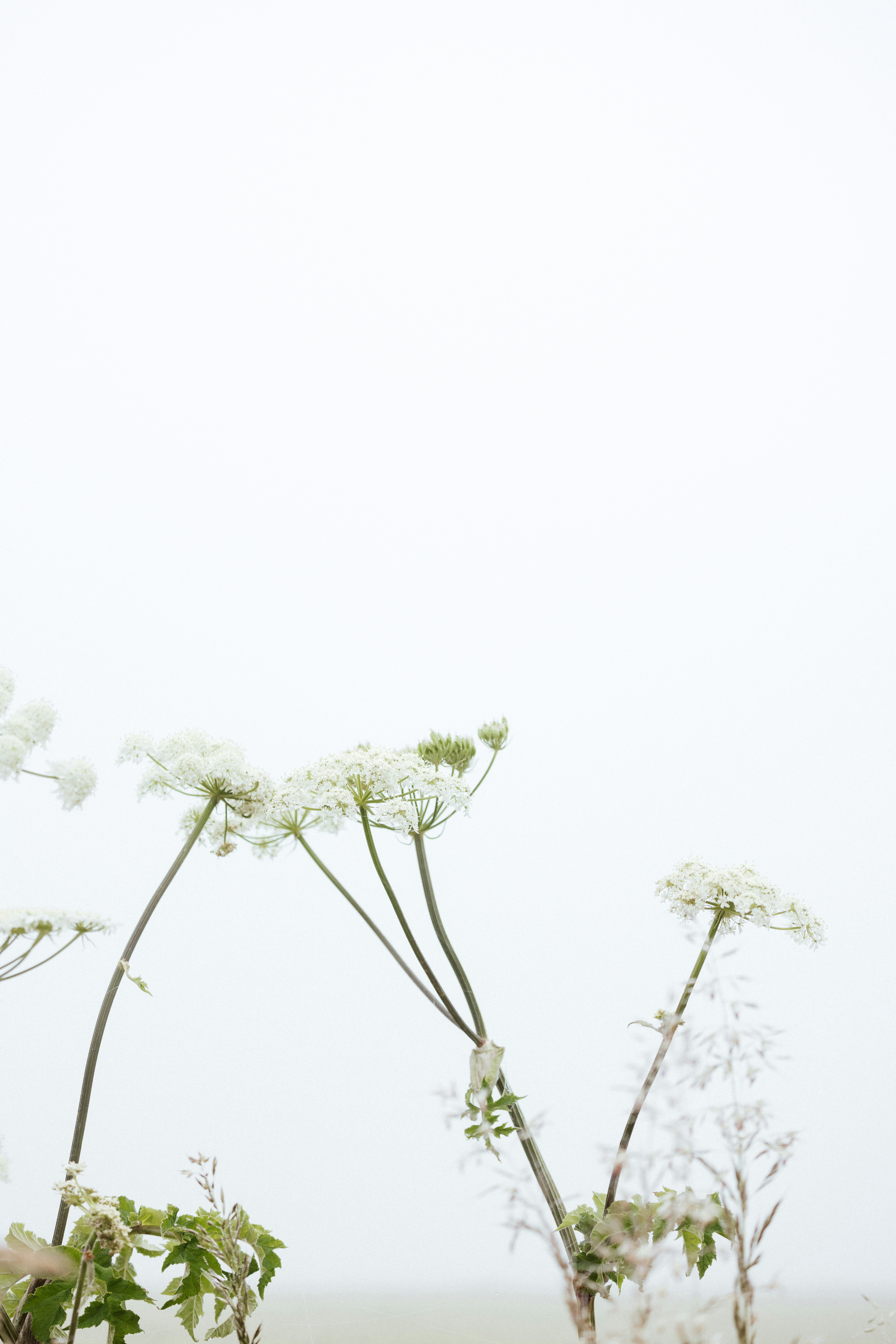 Photo by anniespratt