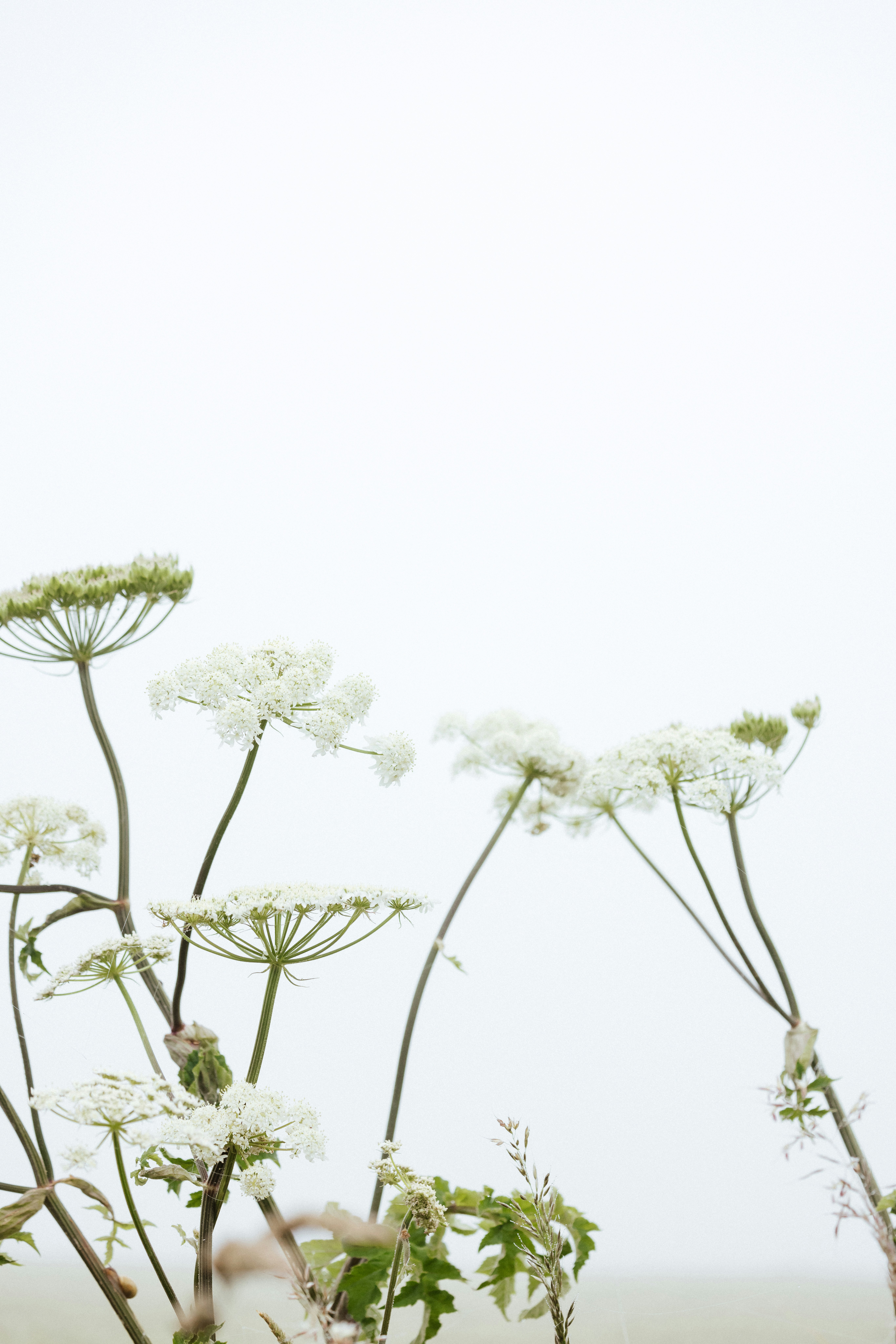 Photo by anniespratt