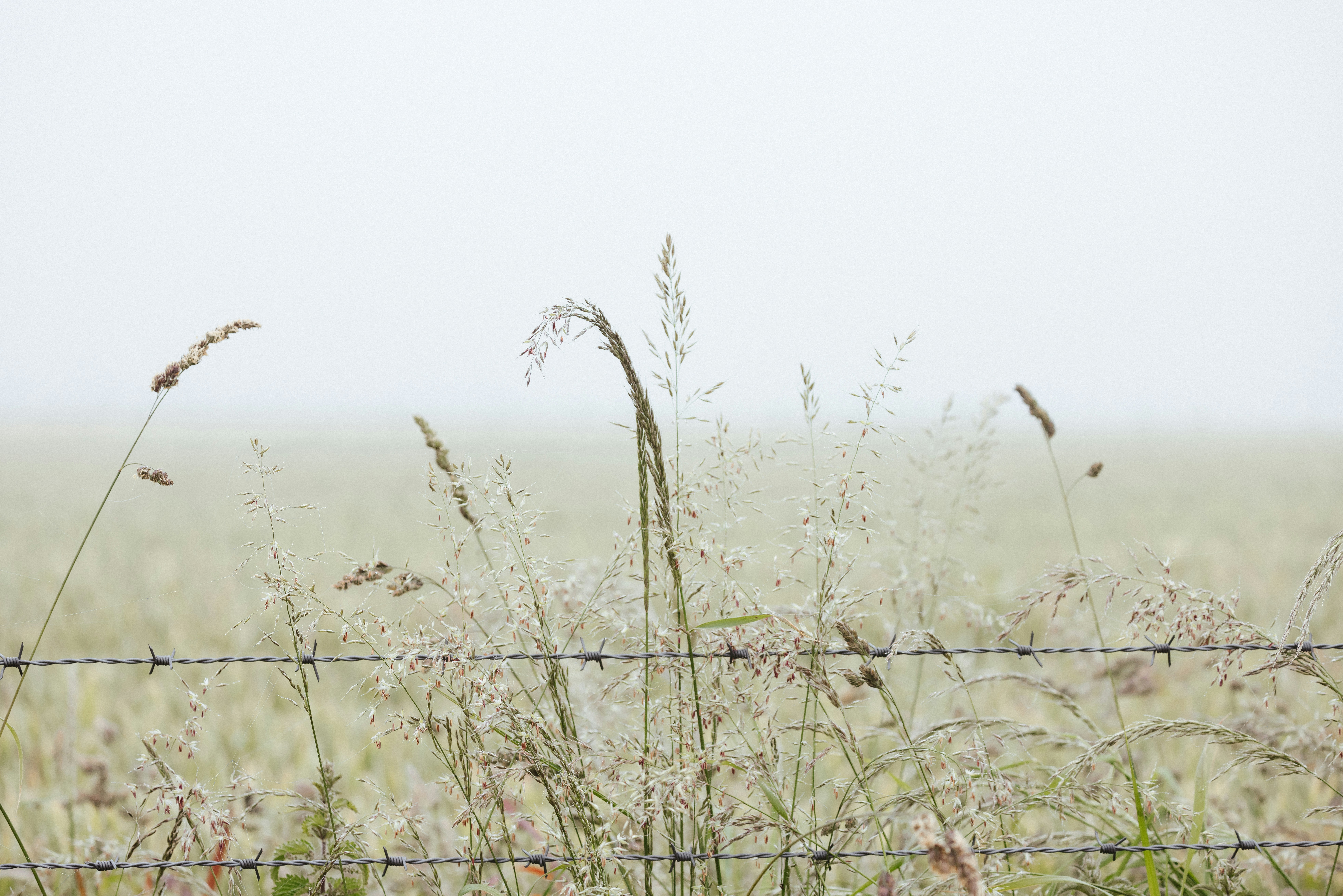 Photo by anniespratt