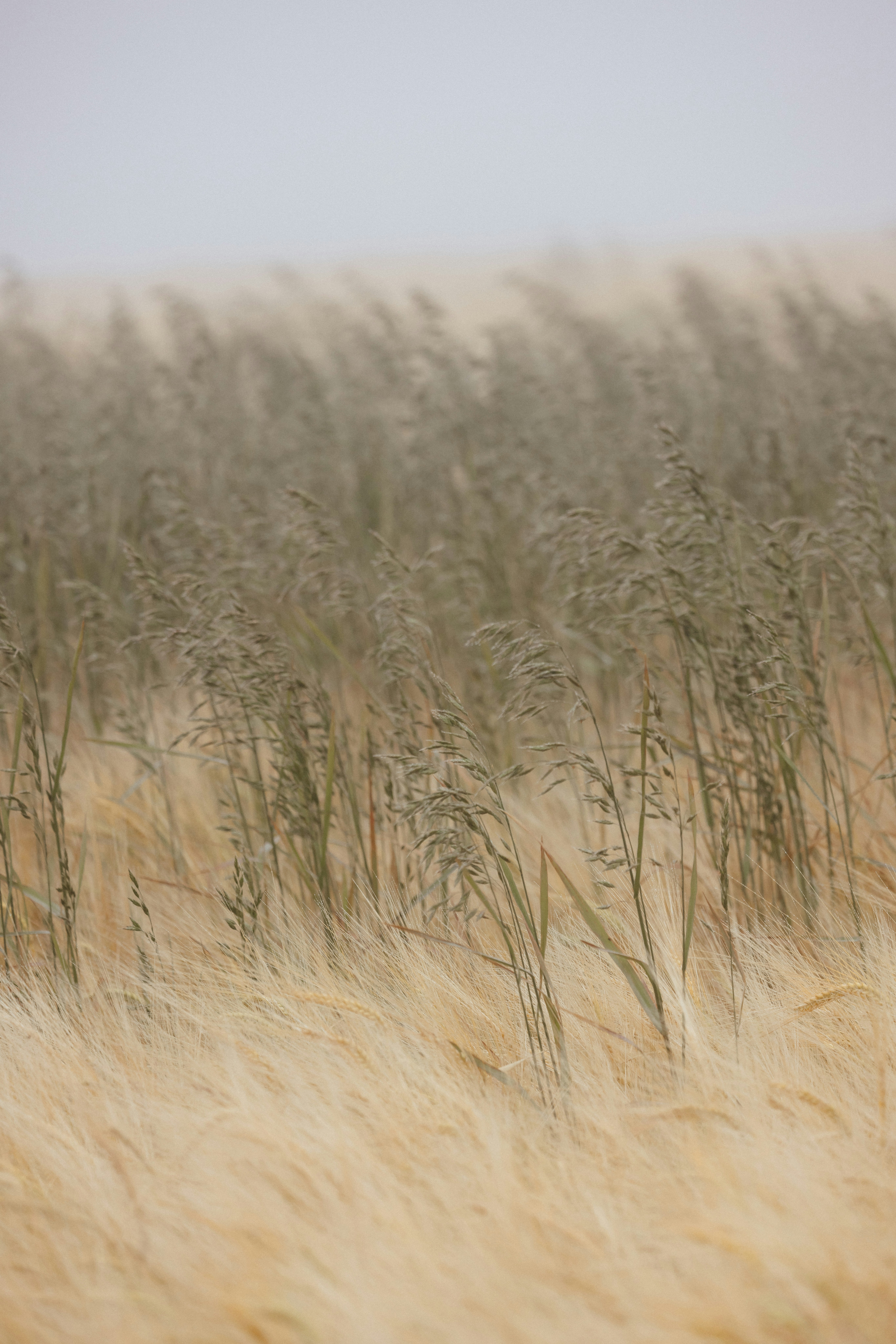 Photo by anniespratt