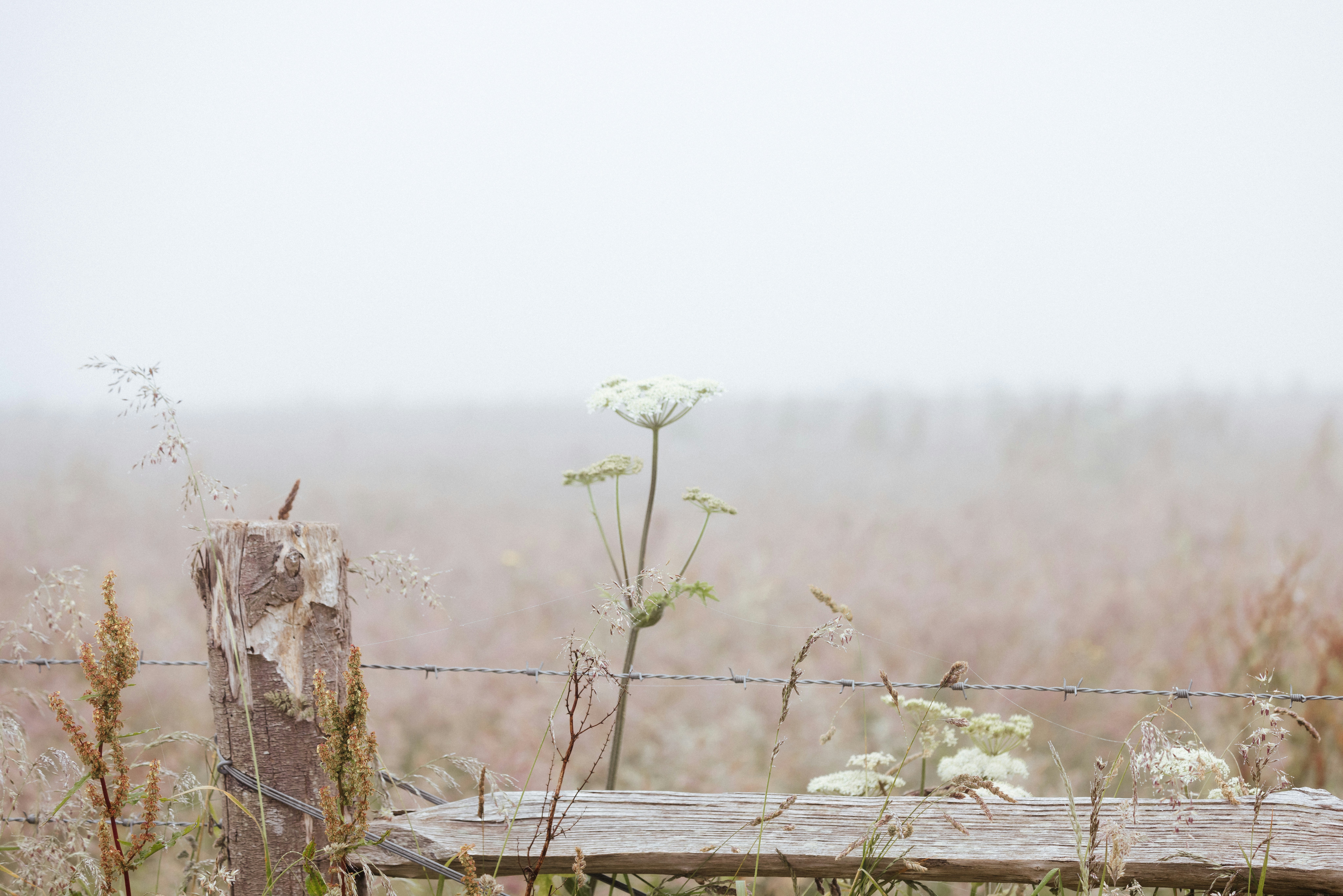 Photo by anniespratt