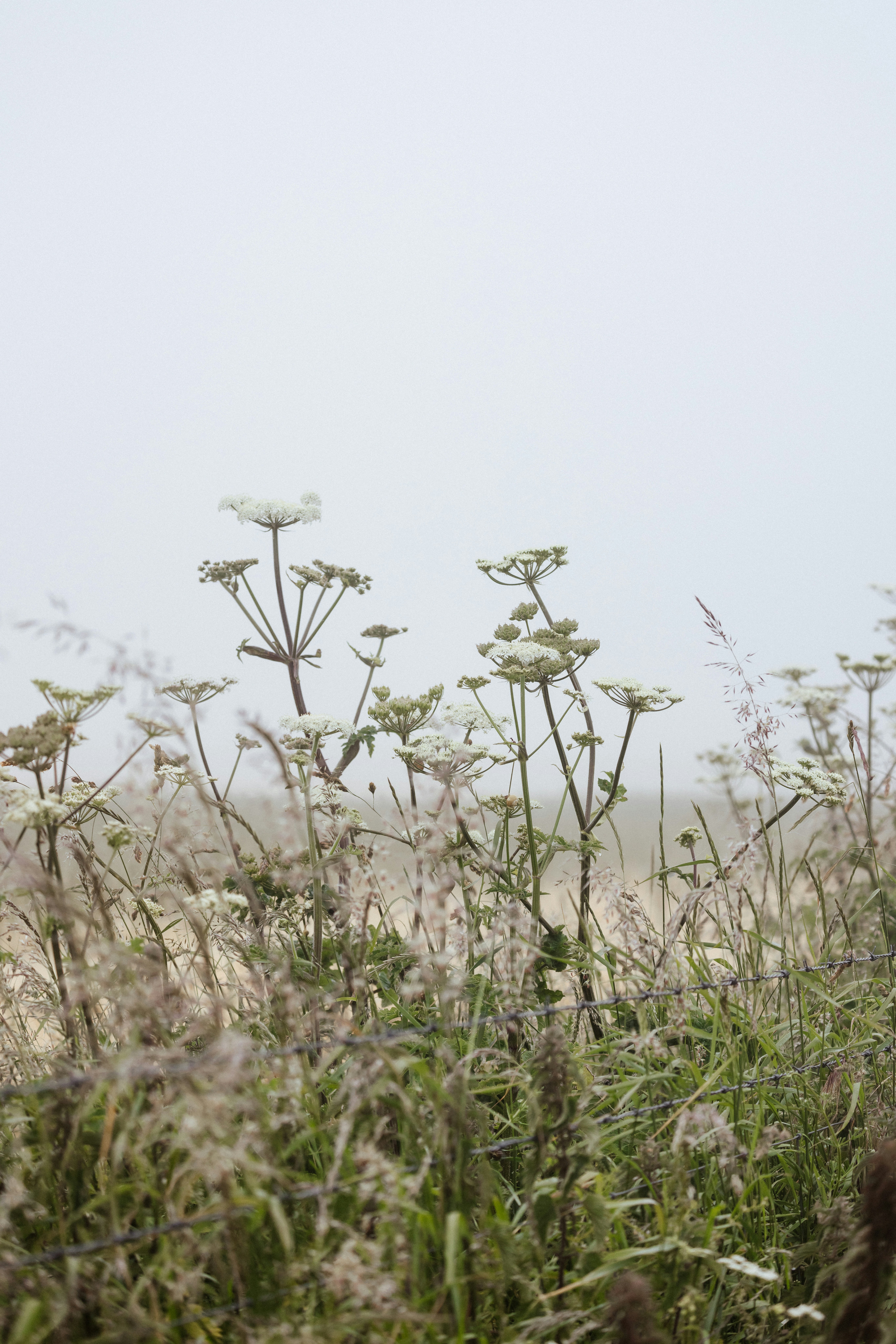 Photo by anniespratt