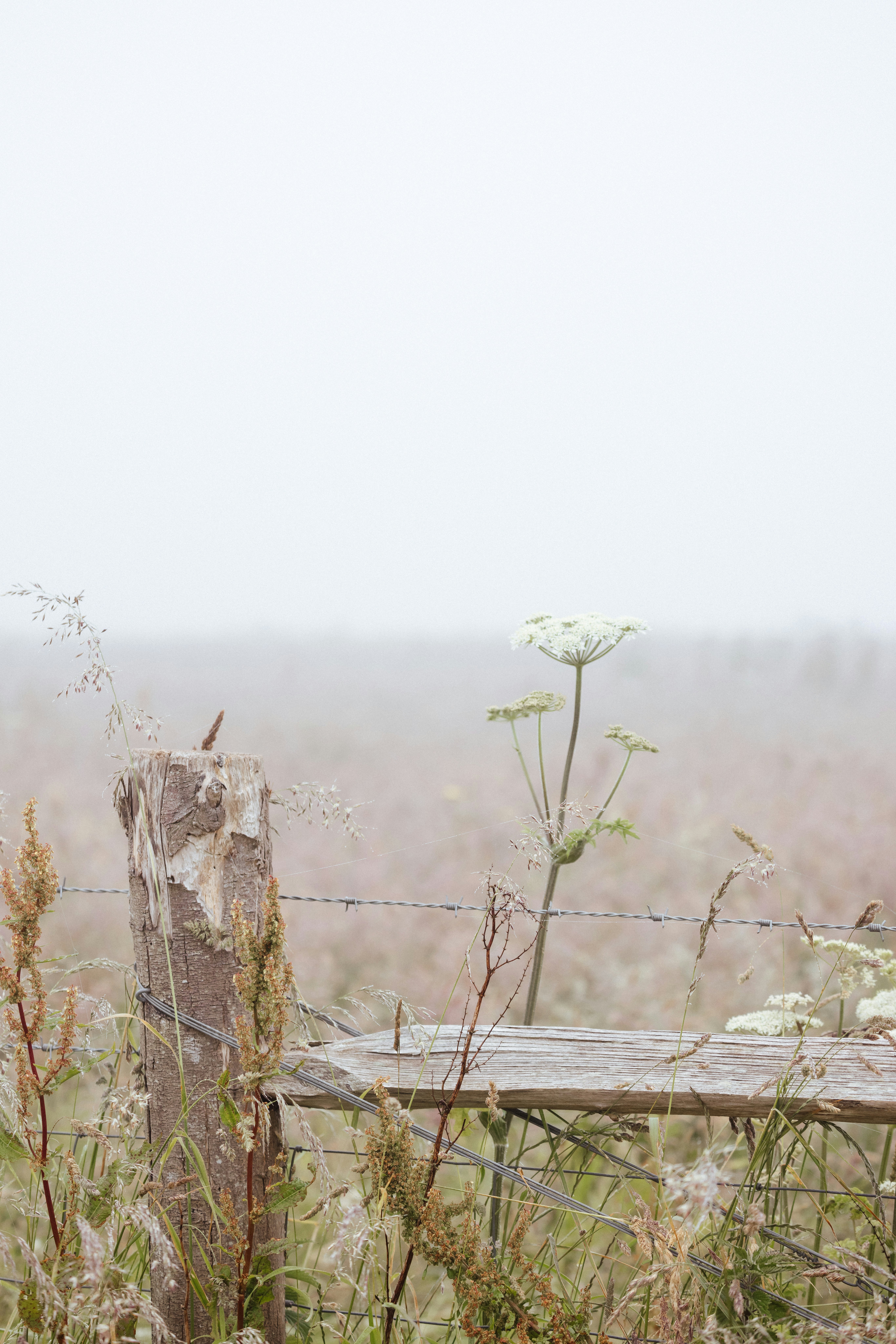 Photo by anniespratt