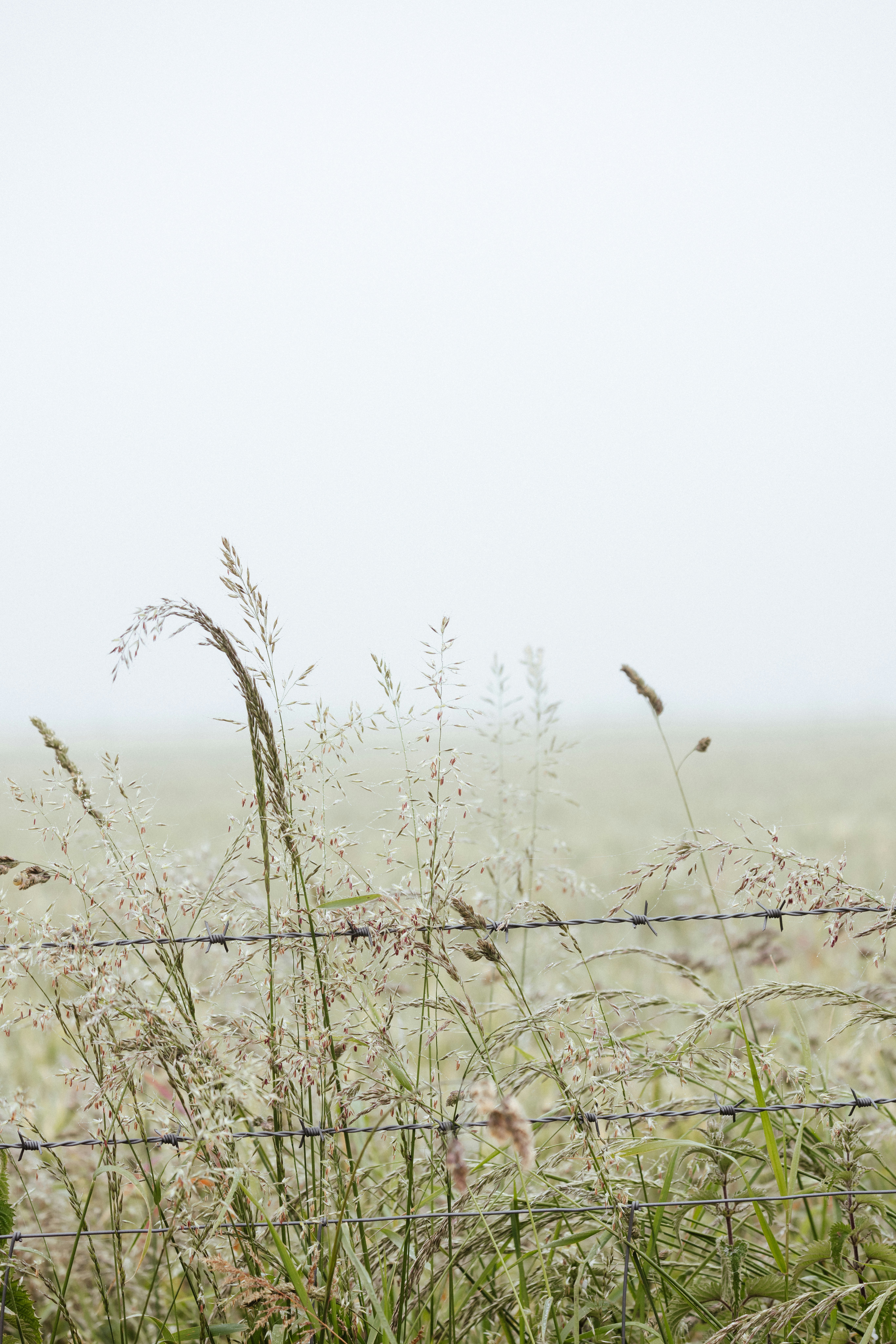 Photo by anniespratt