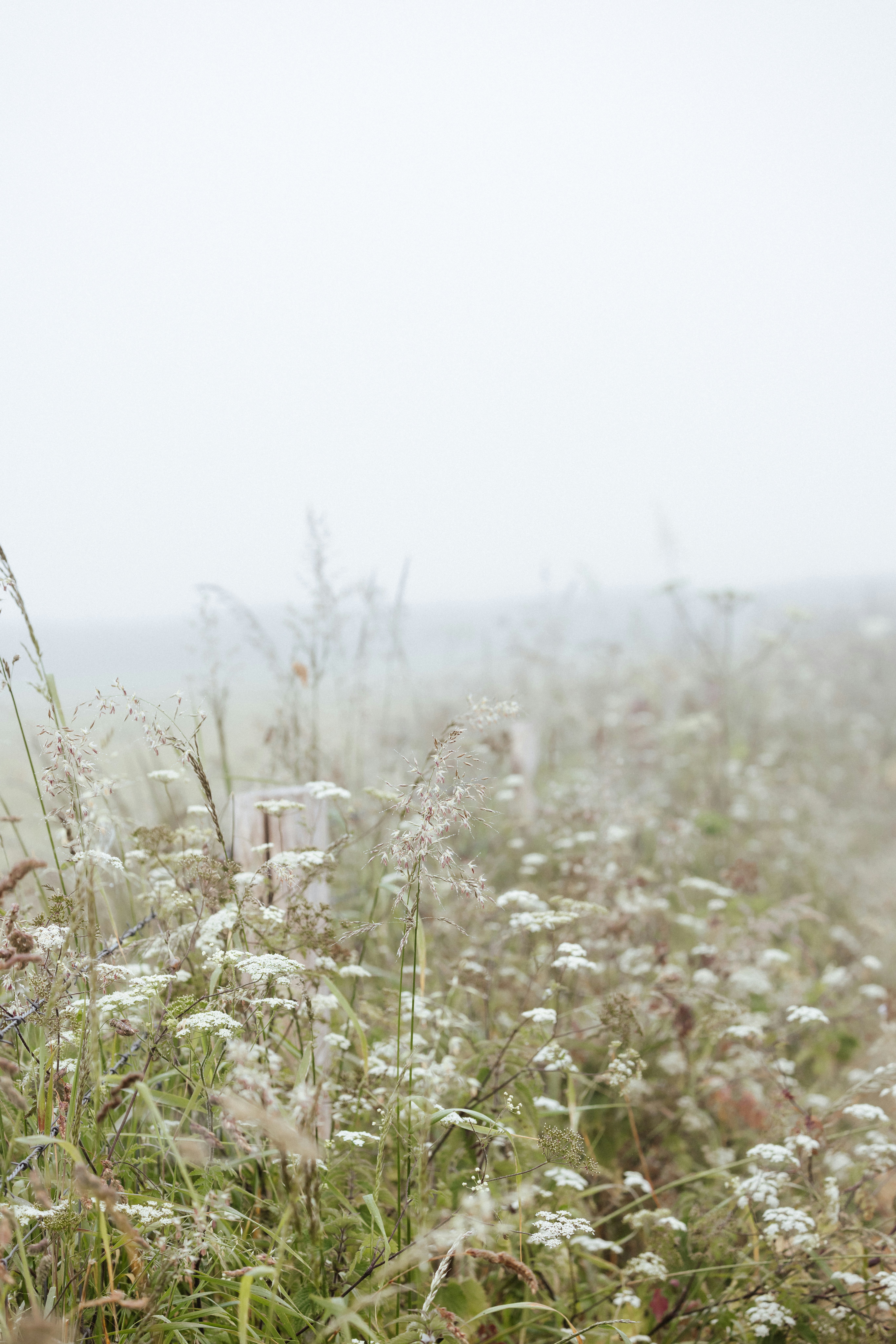 Photo by anniespratt