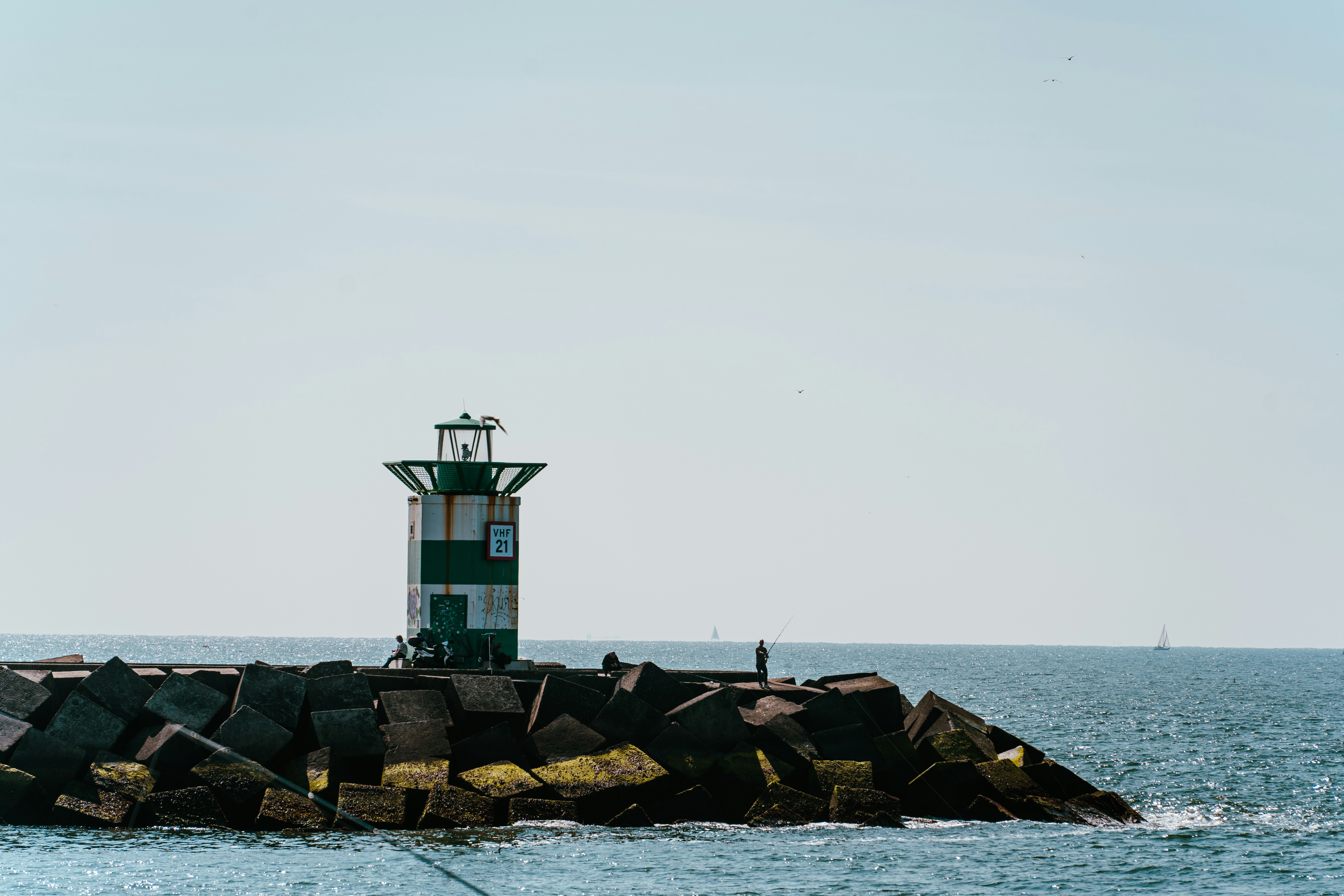 Photo by hassananayi