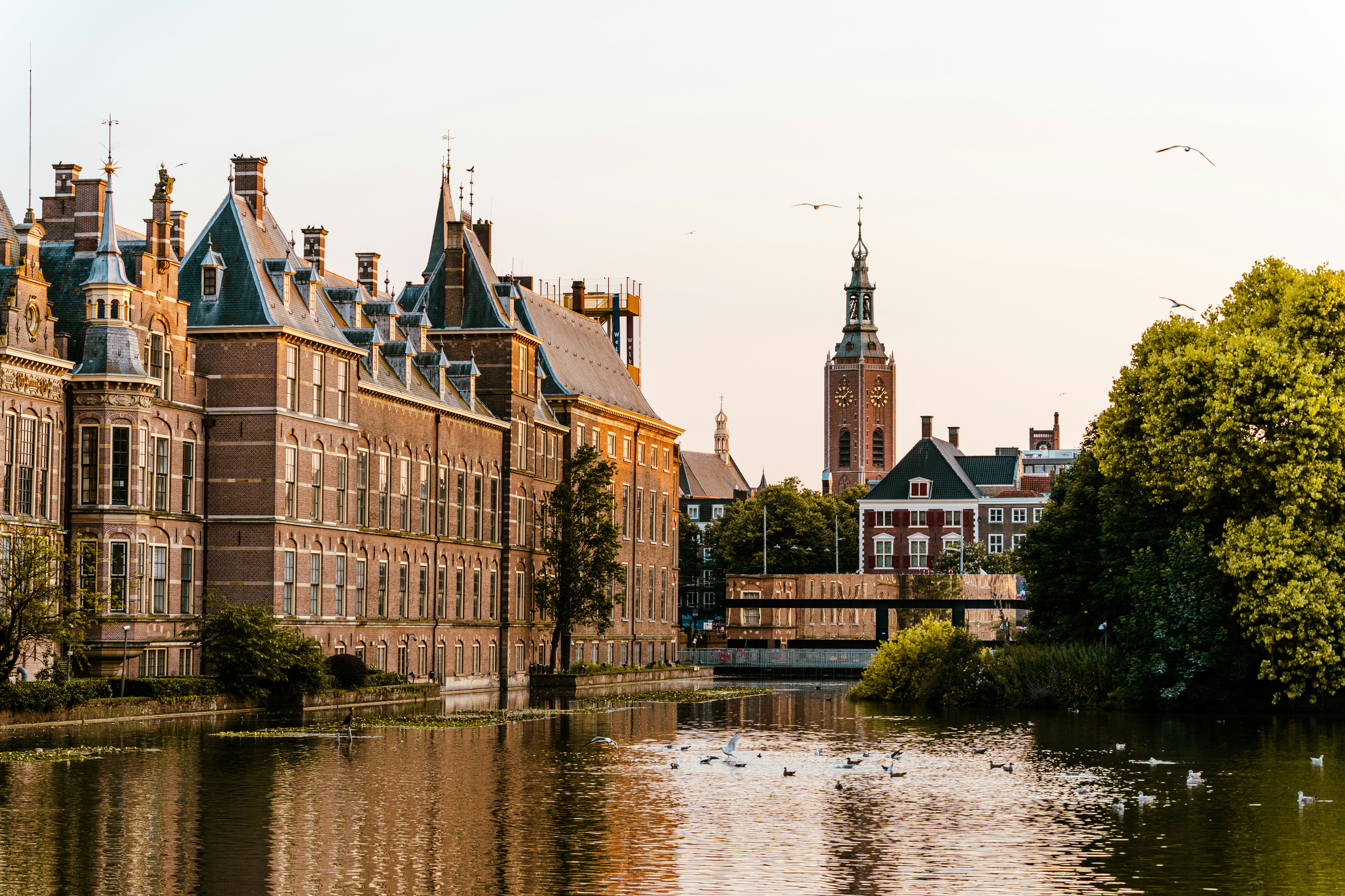 Photo by hassananayi