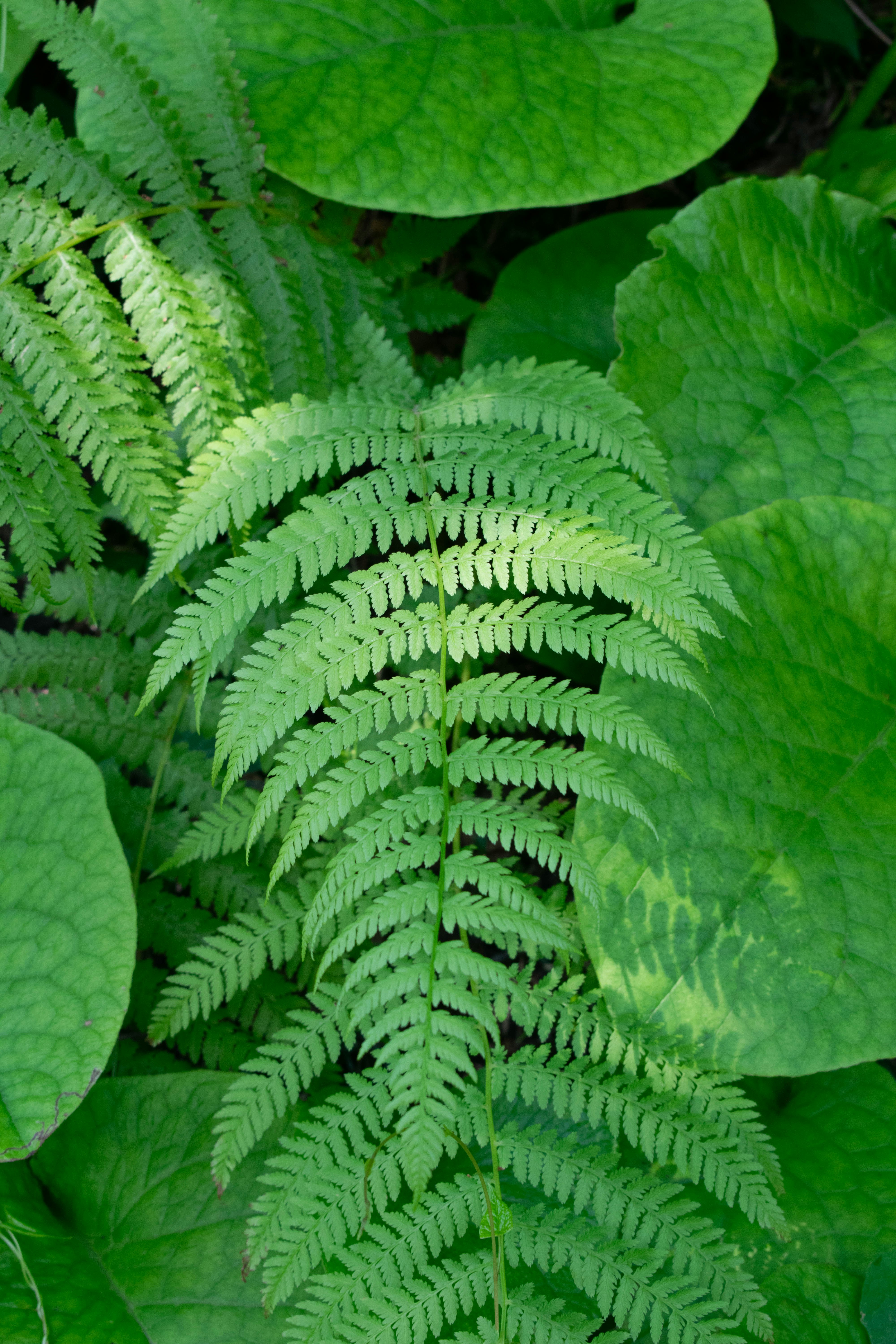 Photo by alexandre13