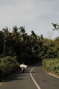 A person riding a motorcycle down a road