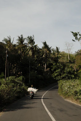 Bali roads