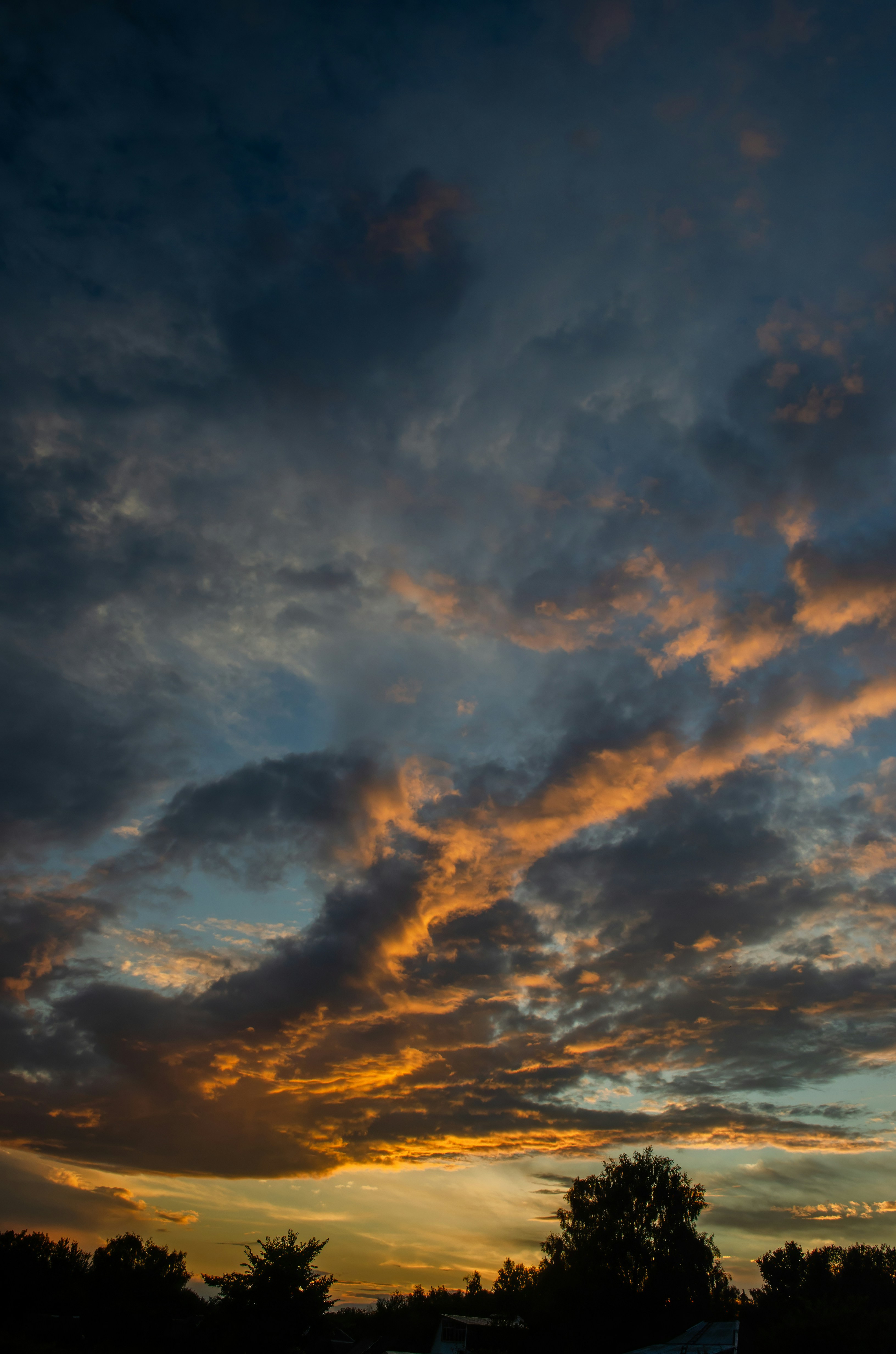 Photo by andrilliardbond