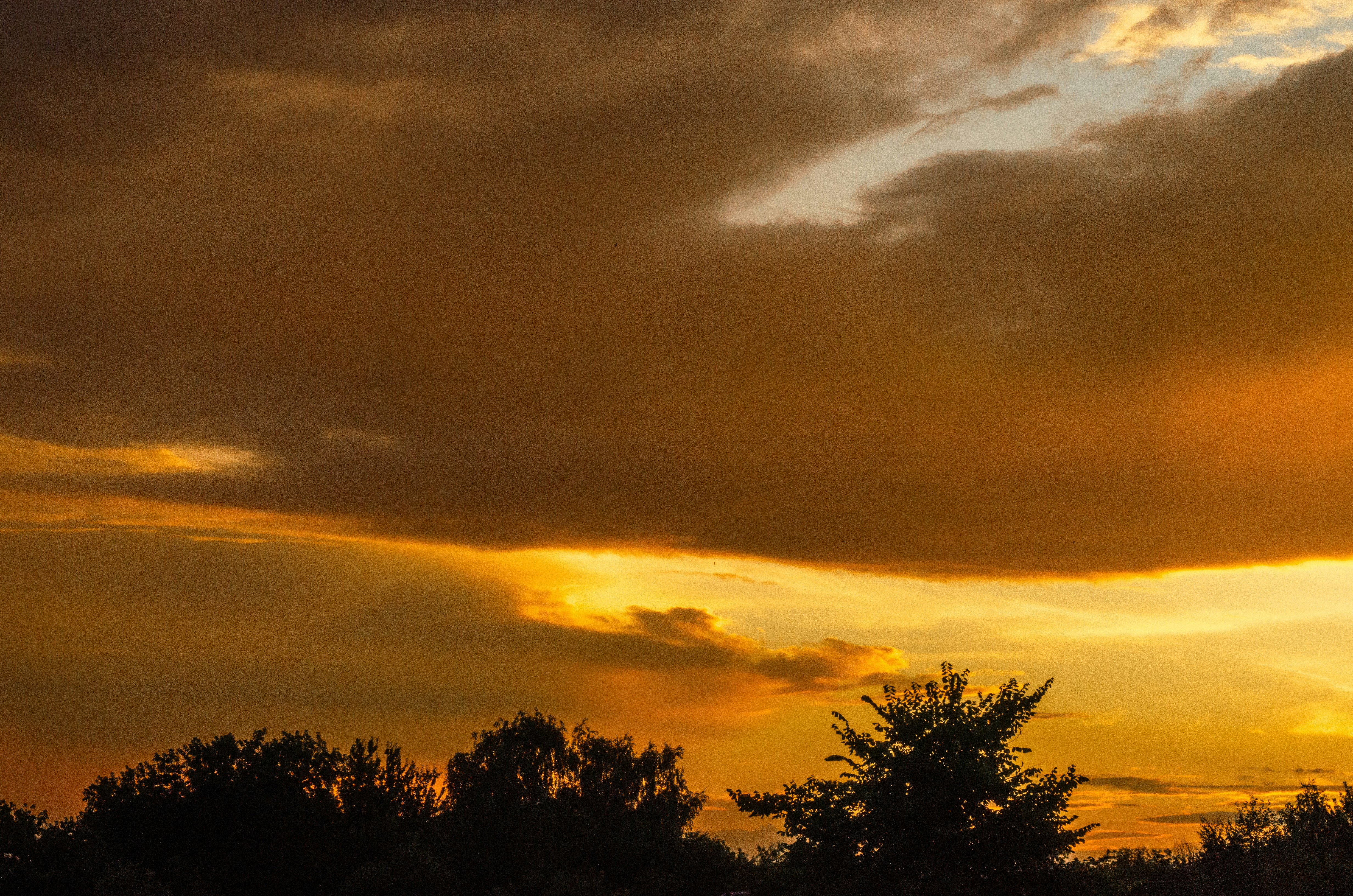 Photo by andrilliardbond