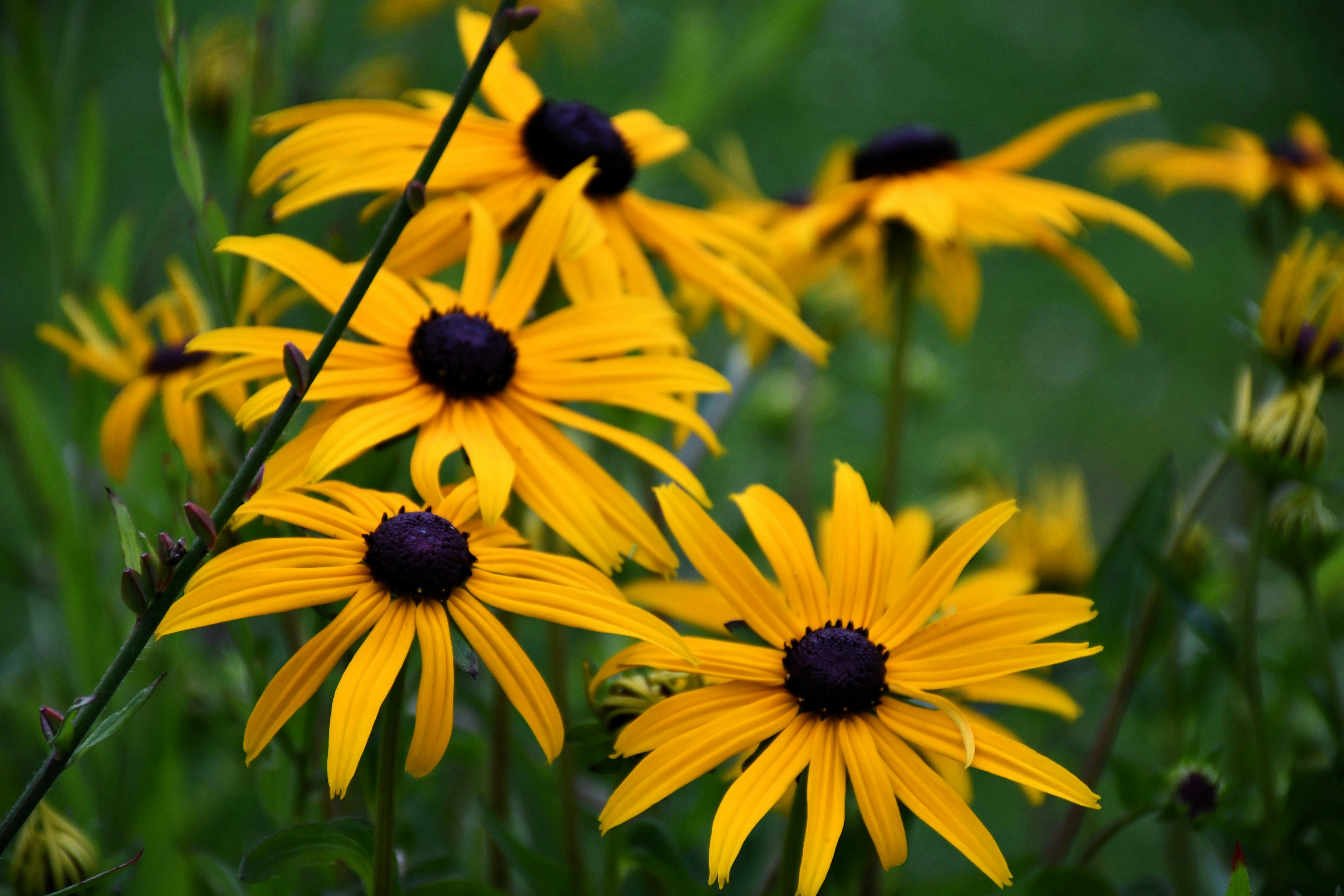 Photo by oleksandra_syrytsia