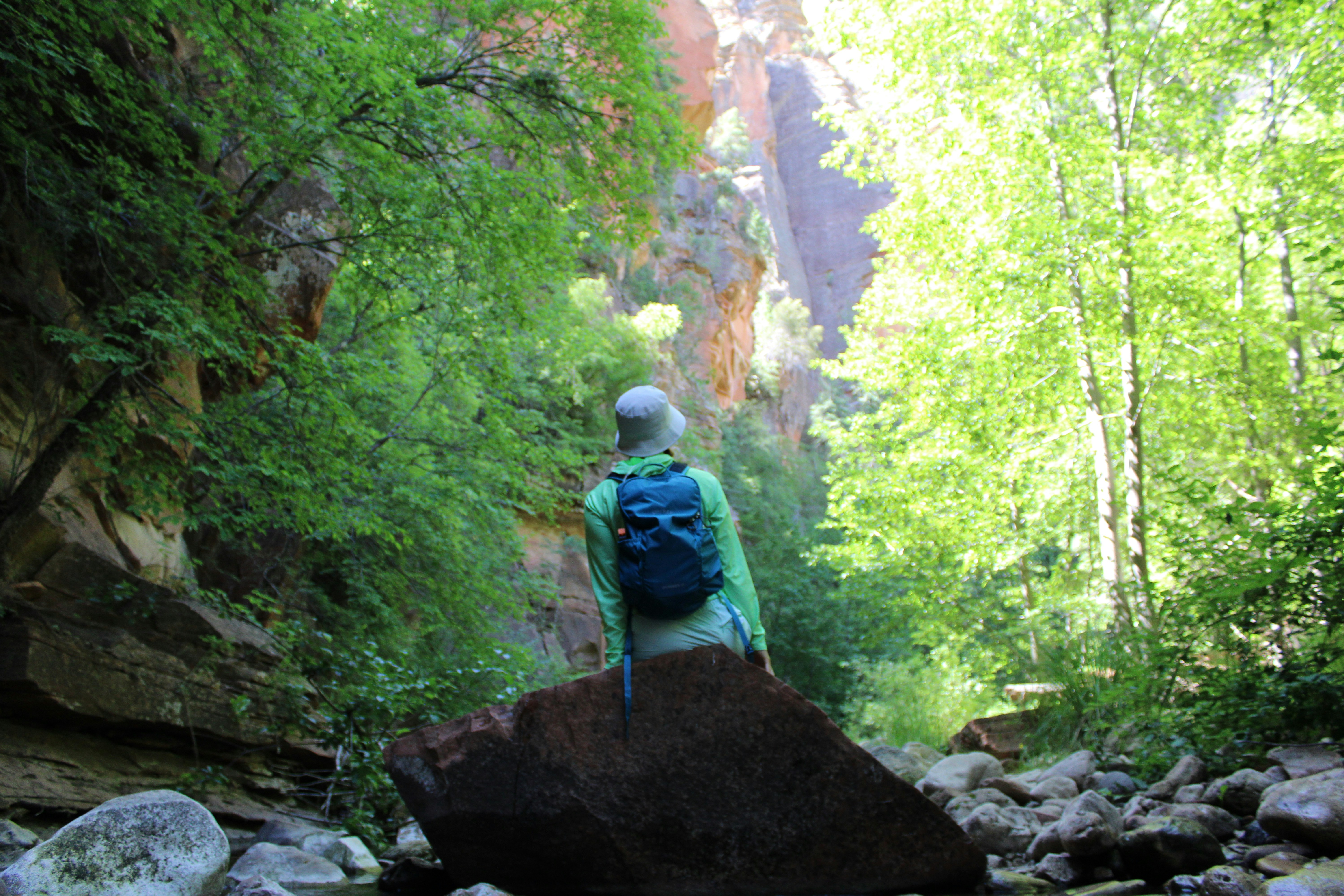 A person standing on a rock in the middle of a river