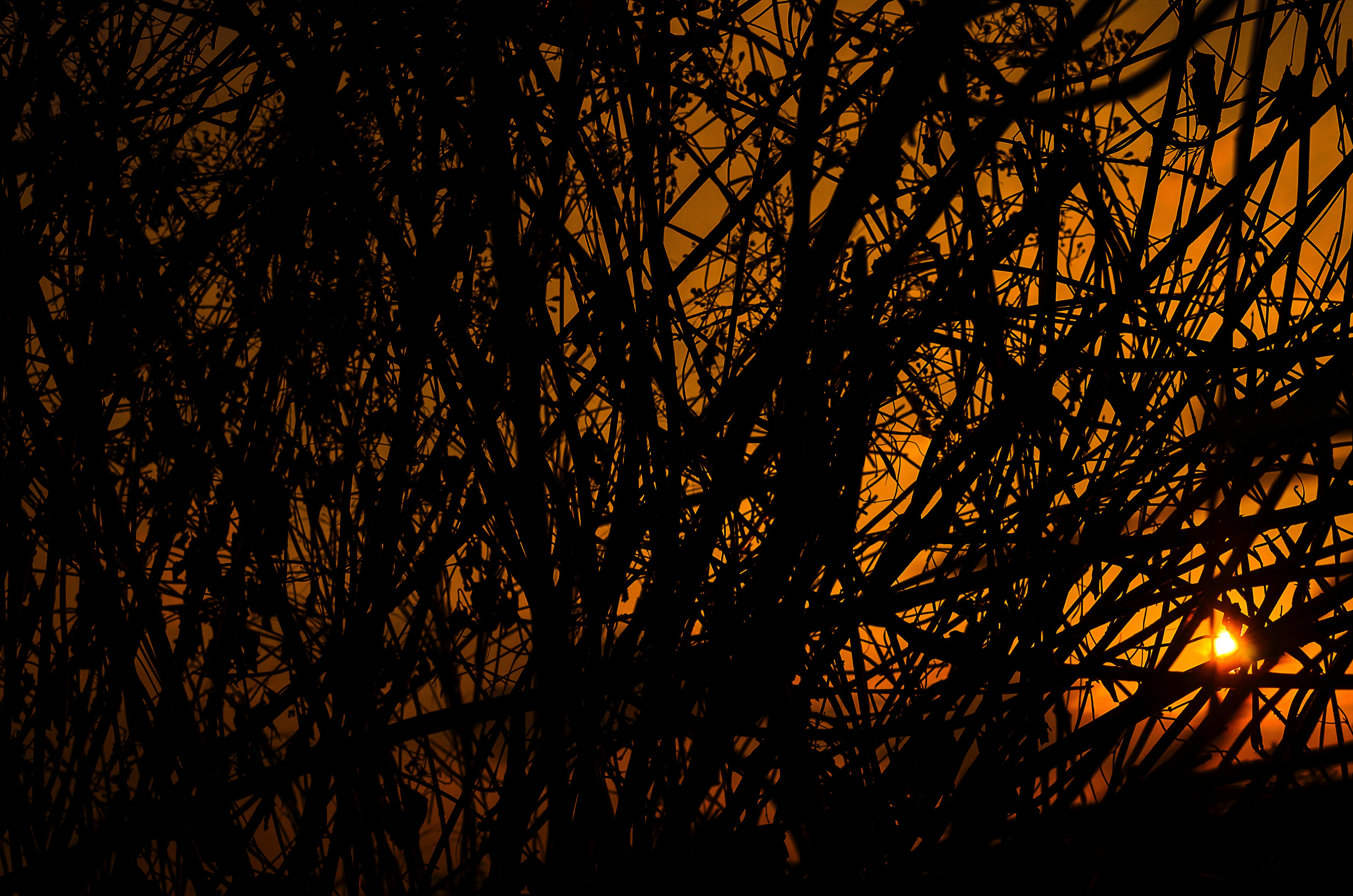 Photo by darwintrinidad