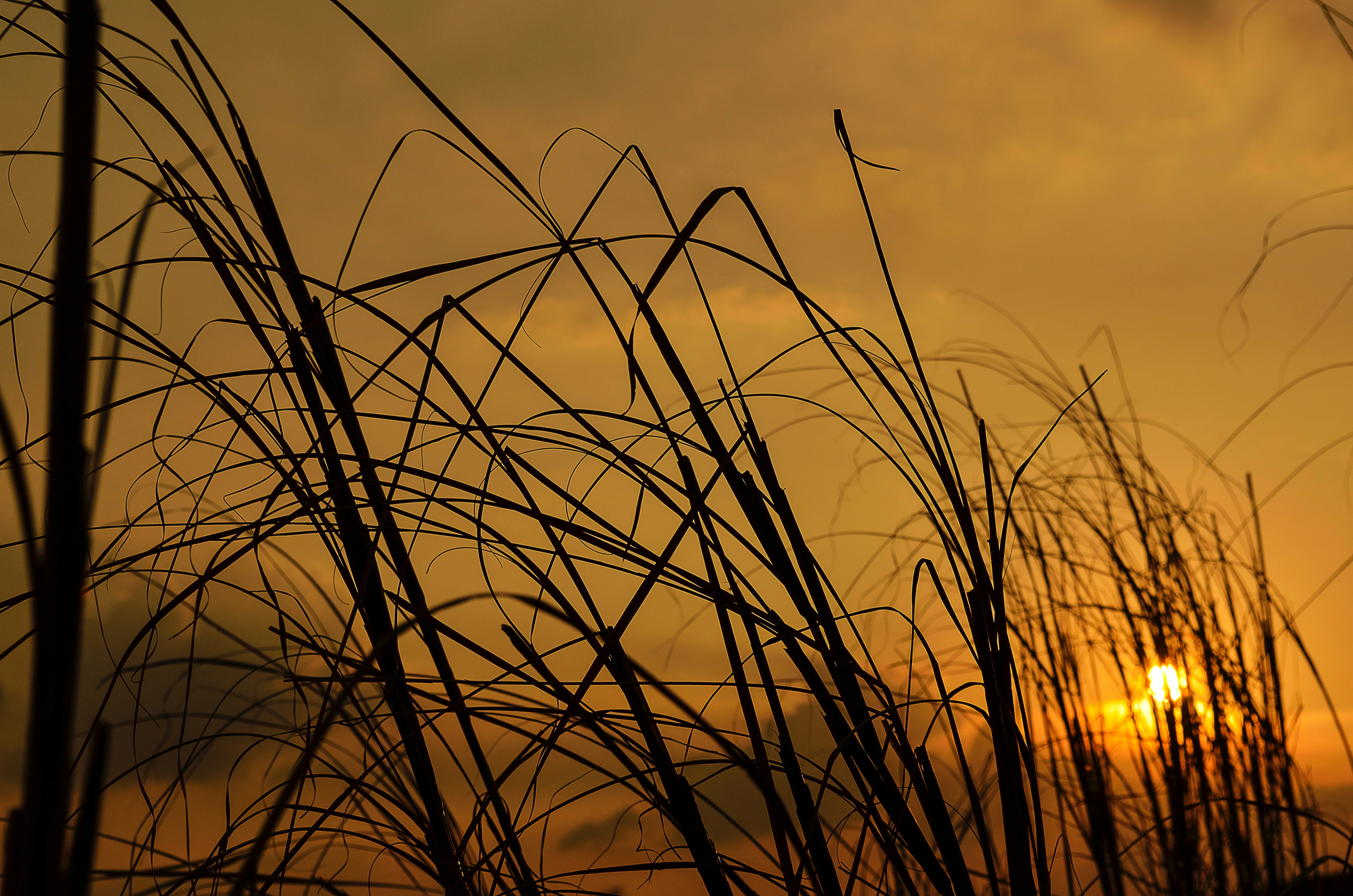 Photo by darwintrinidad