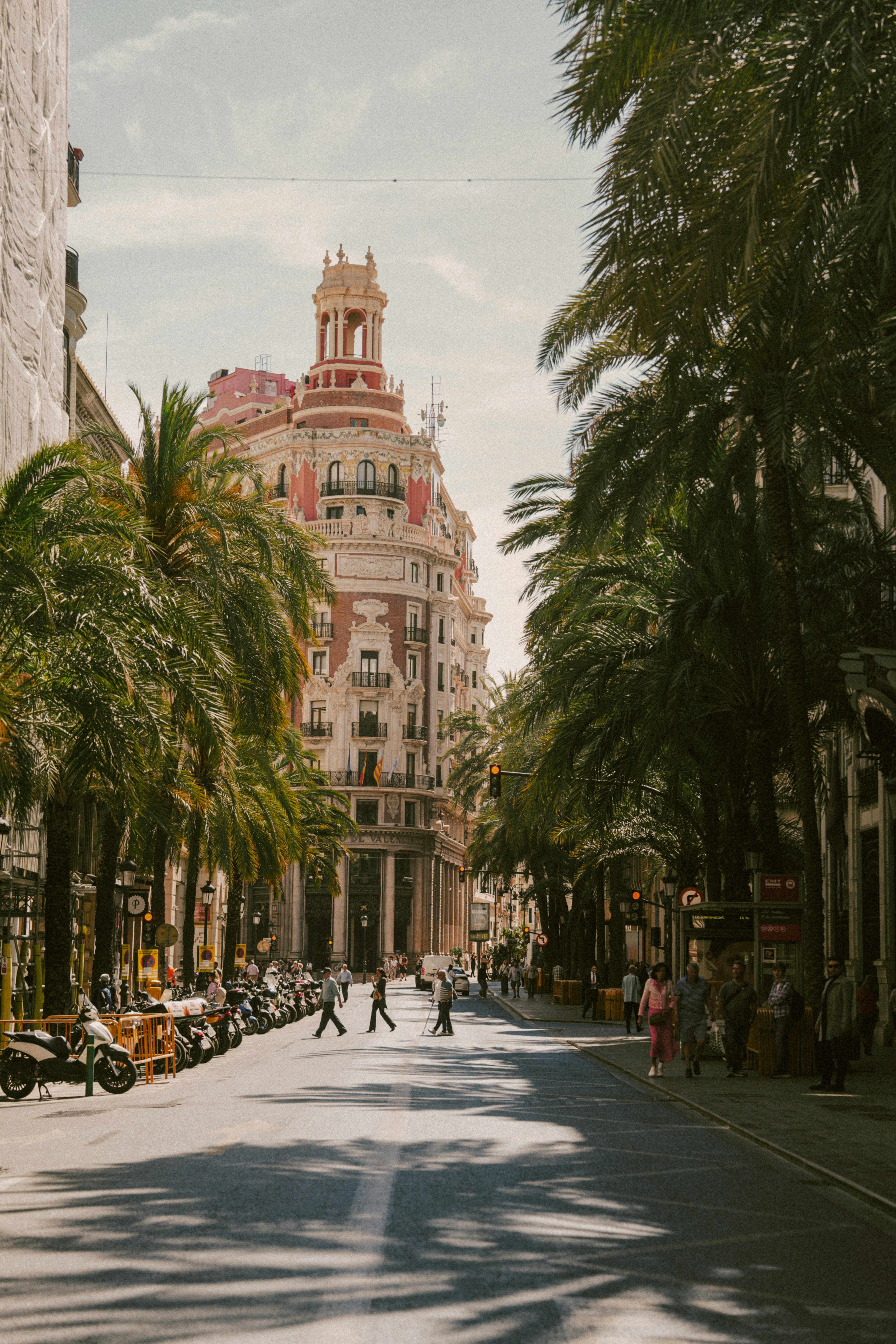 A city street lined with palm trees and tall buildings