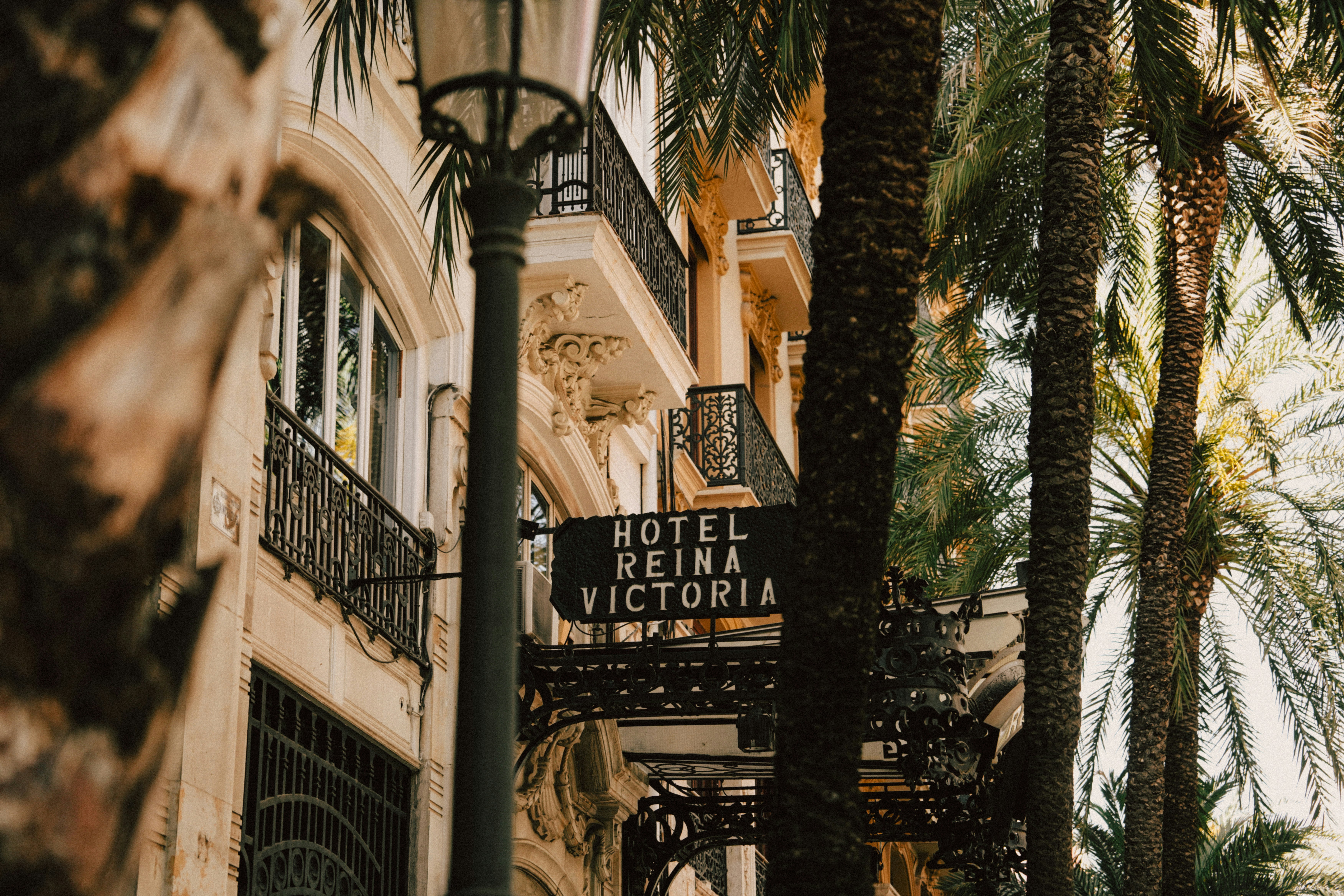 A hotel sign in front of a palm tree lined street